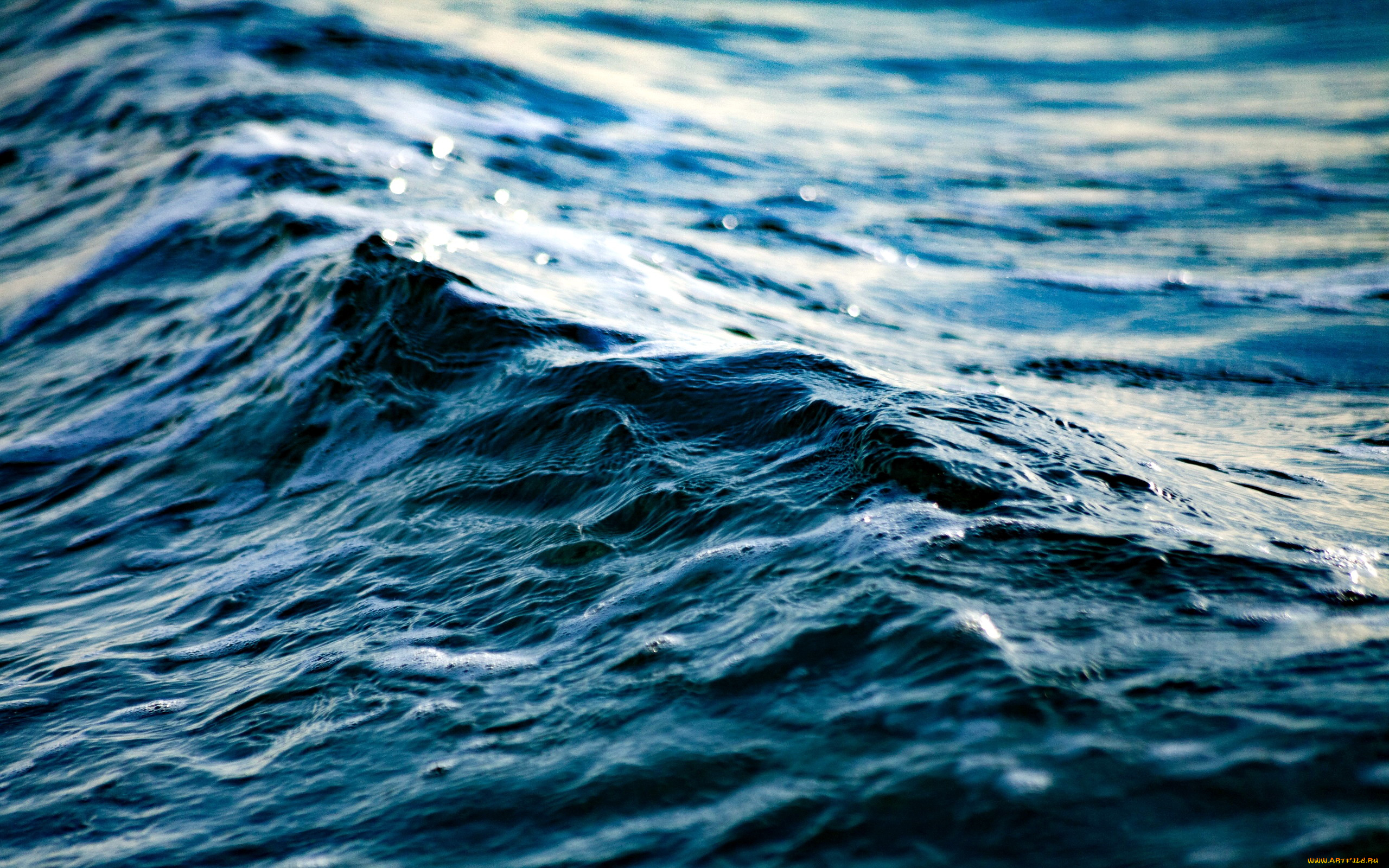 природа, моря, океаны, волна, вода