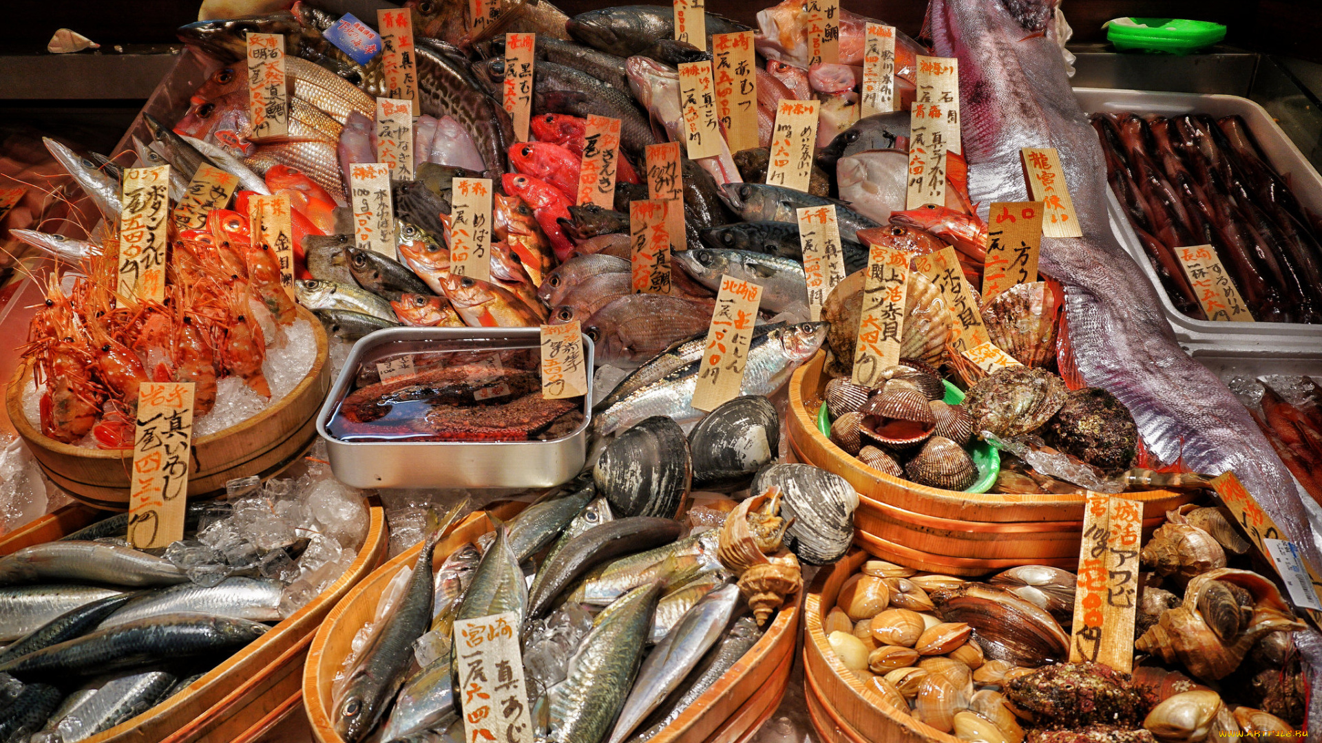 еда, рыба, , морепродукты, , суши, , роллы, снедь