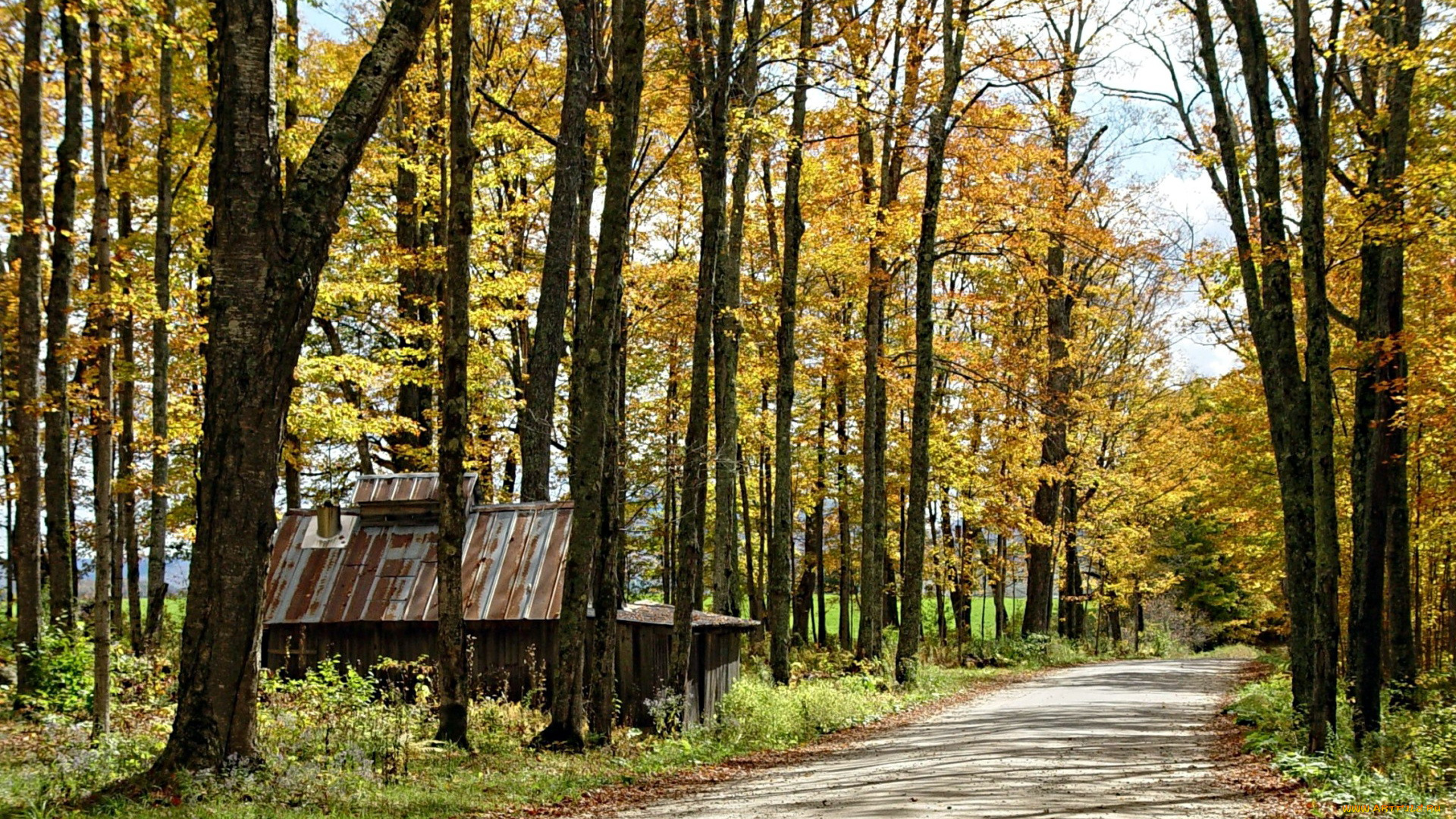 природа, дороги, осень, дорога, будка