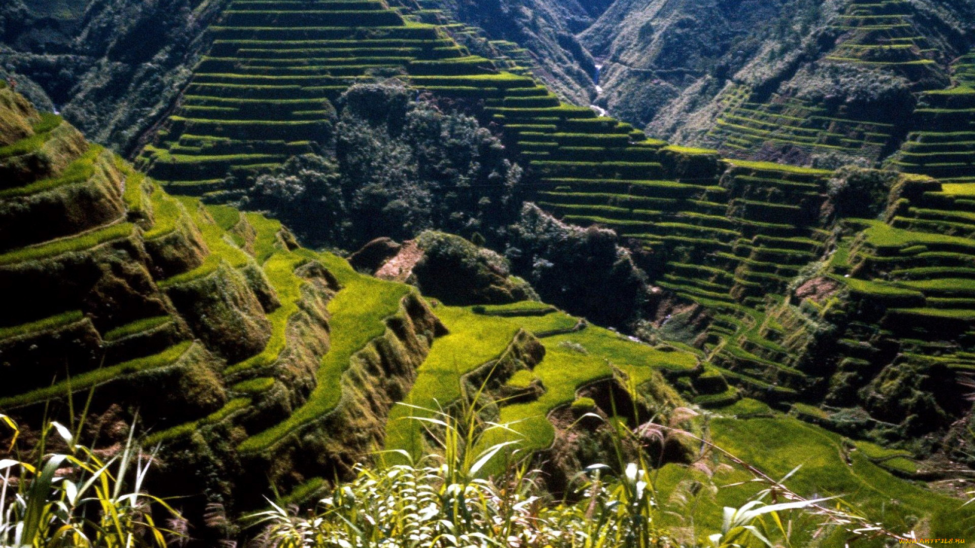 природа, горы, террасы