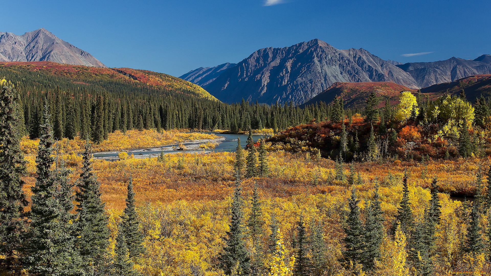 природа, пейзажи, простор