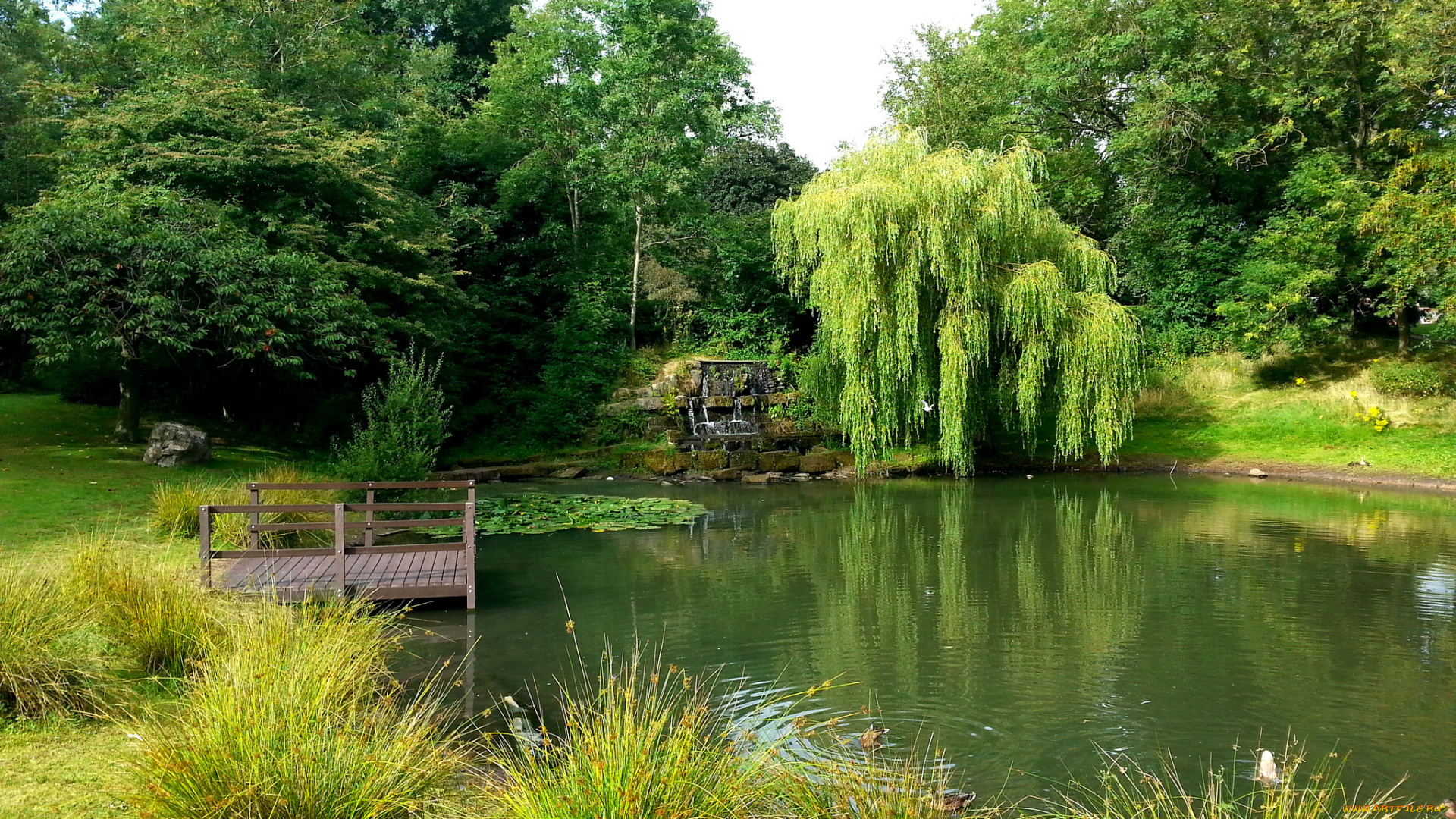 природа, реки, озера, простор