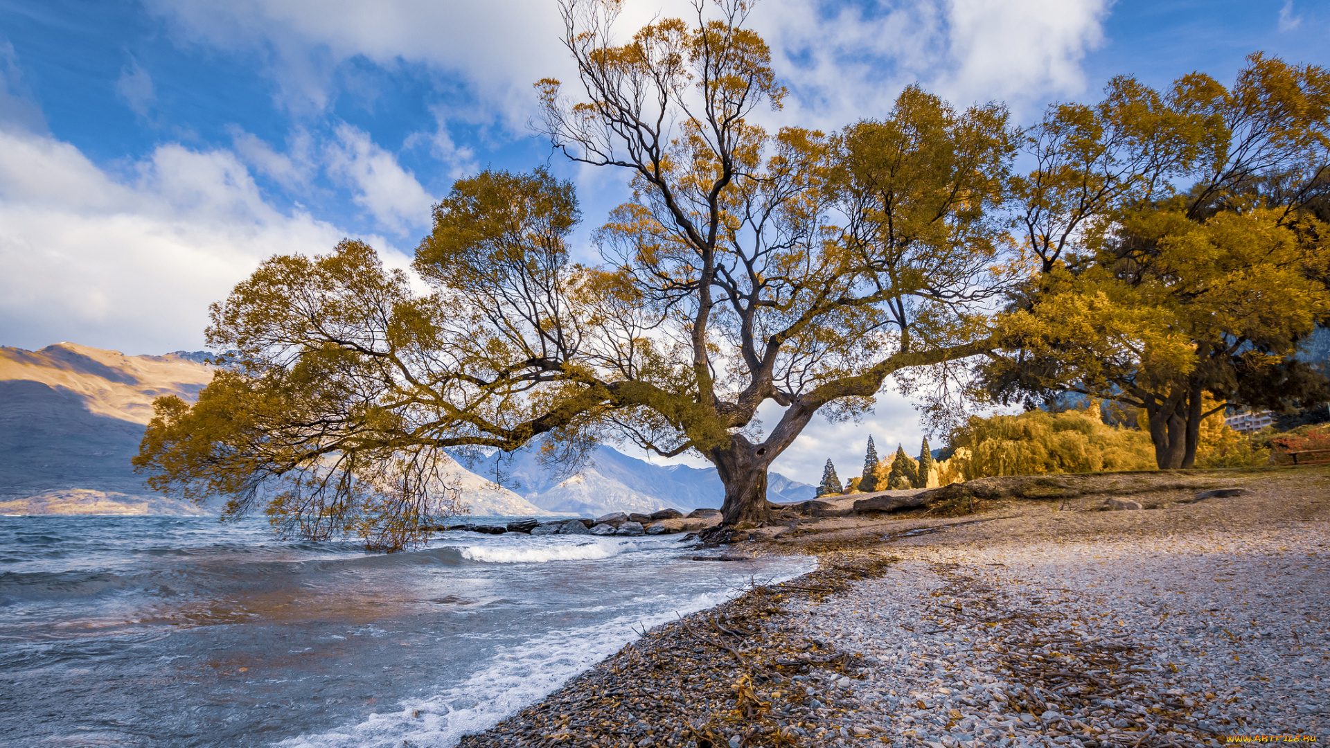 природа, реки, озера, простор