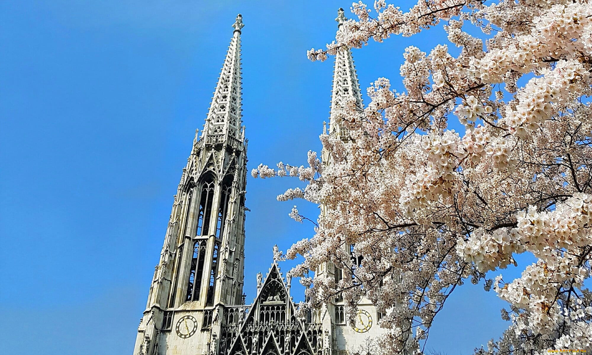 города, вена, , австрия, шпиль, собор, весна