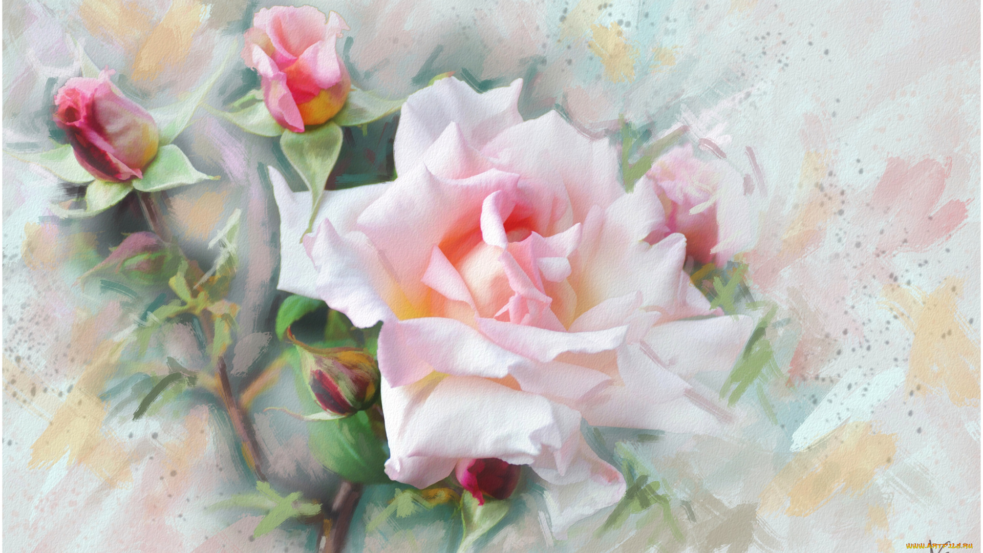 рисованное, цветы, роза