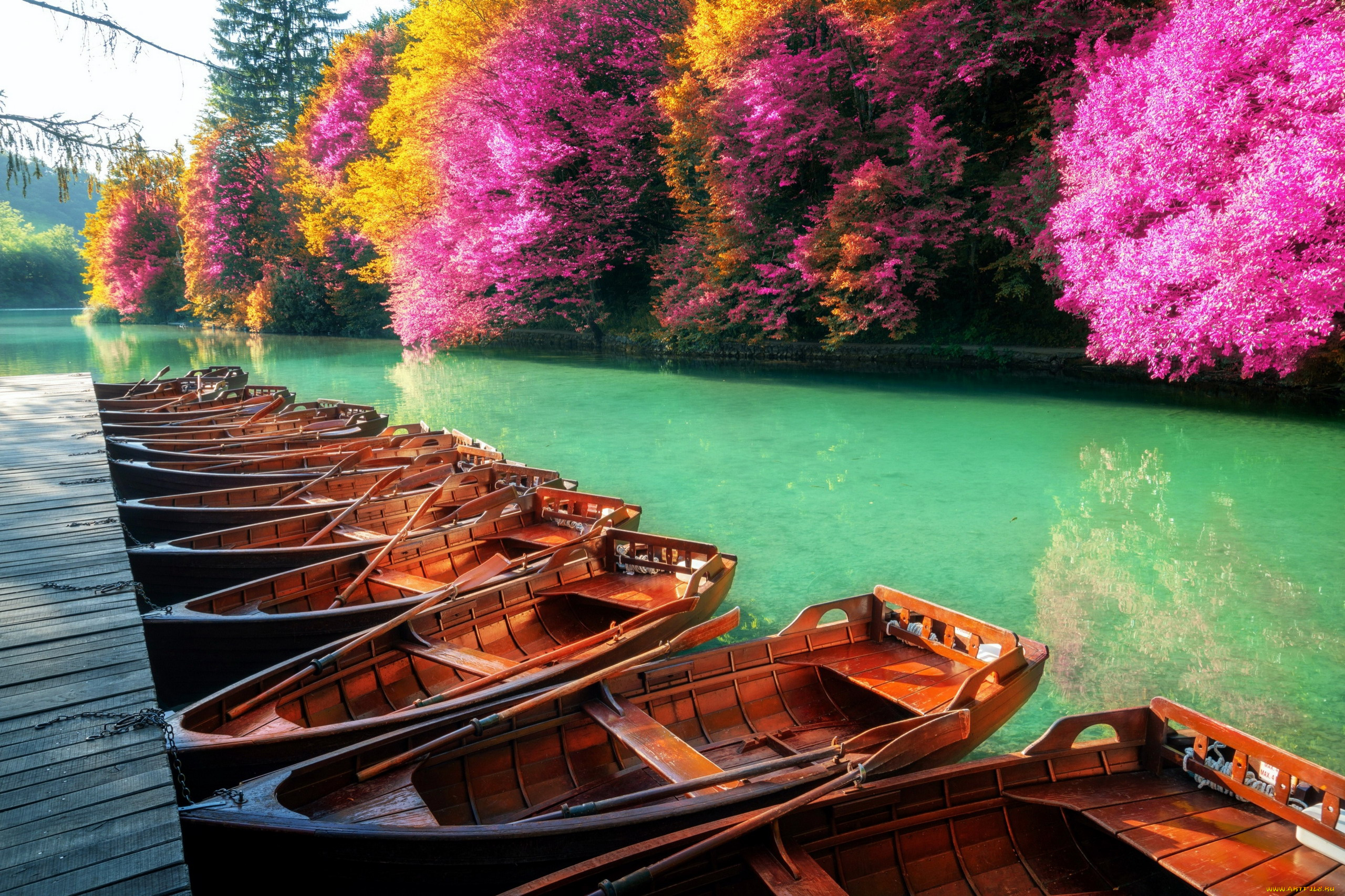 корабли, лодки, , шлюпки, заводь, мостки