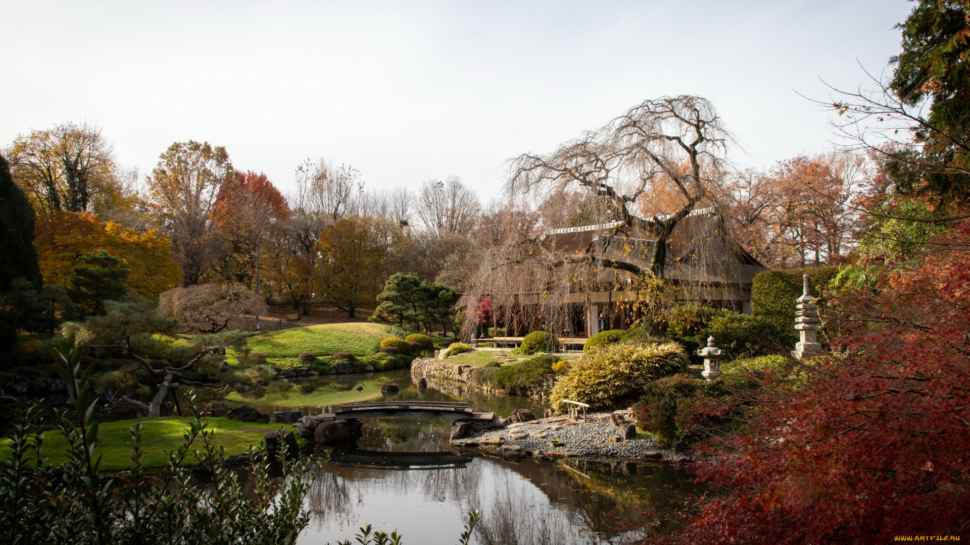 города, -, здания, , дома, японский, садик