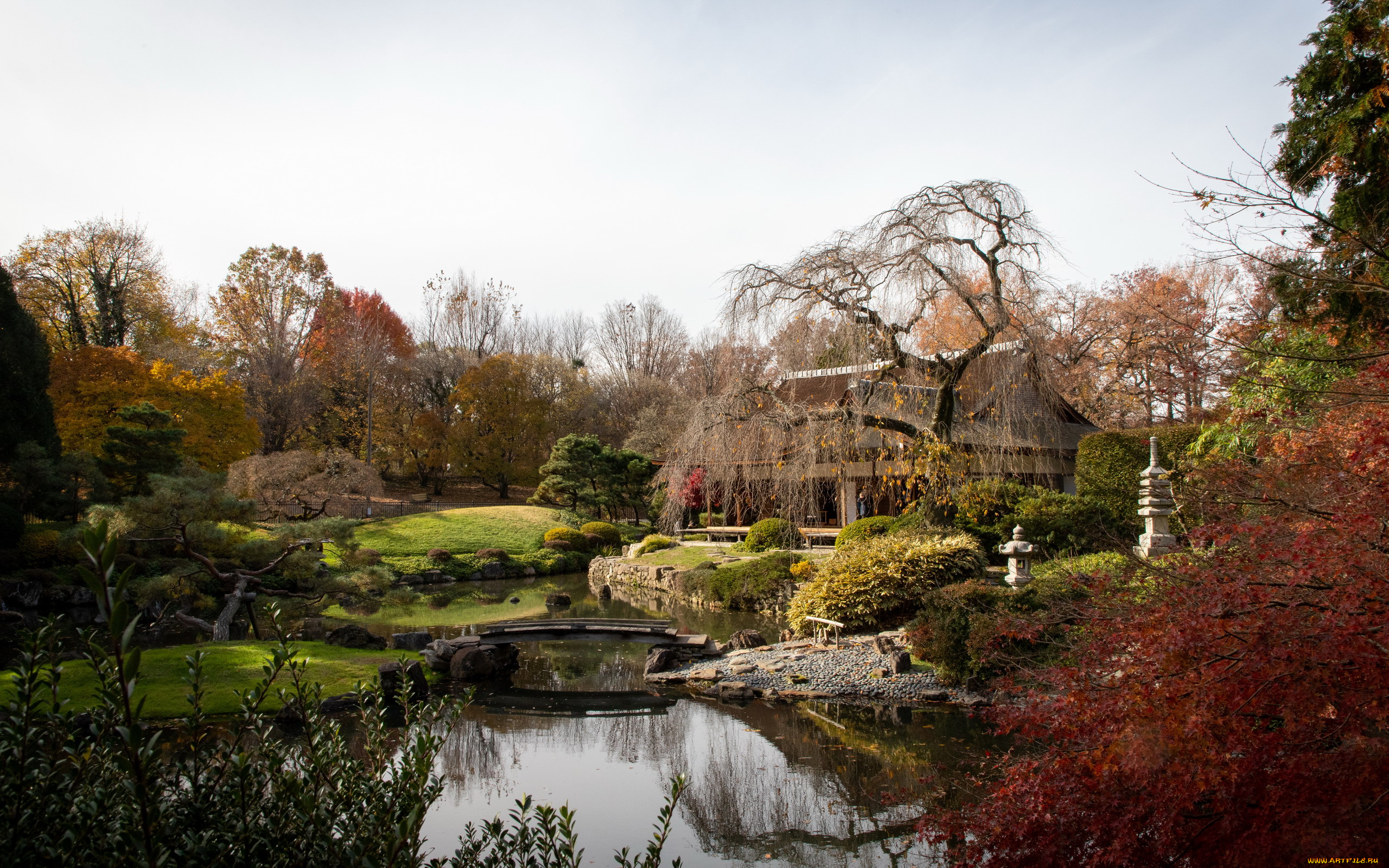 города, -, здания, , дома, японский, садик