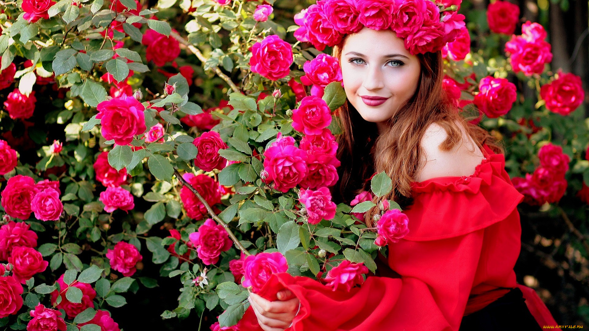 девушки, -, брюнетки, , шатенки, шатенка, венок, розы, блузка, кусты