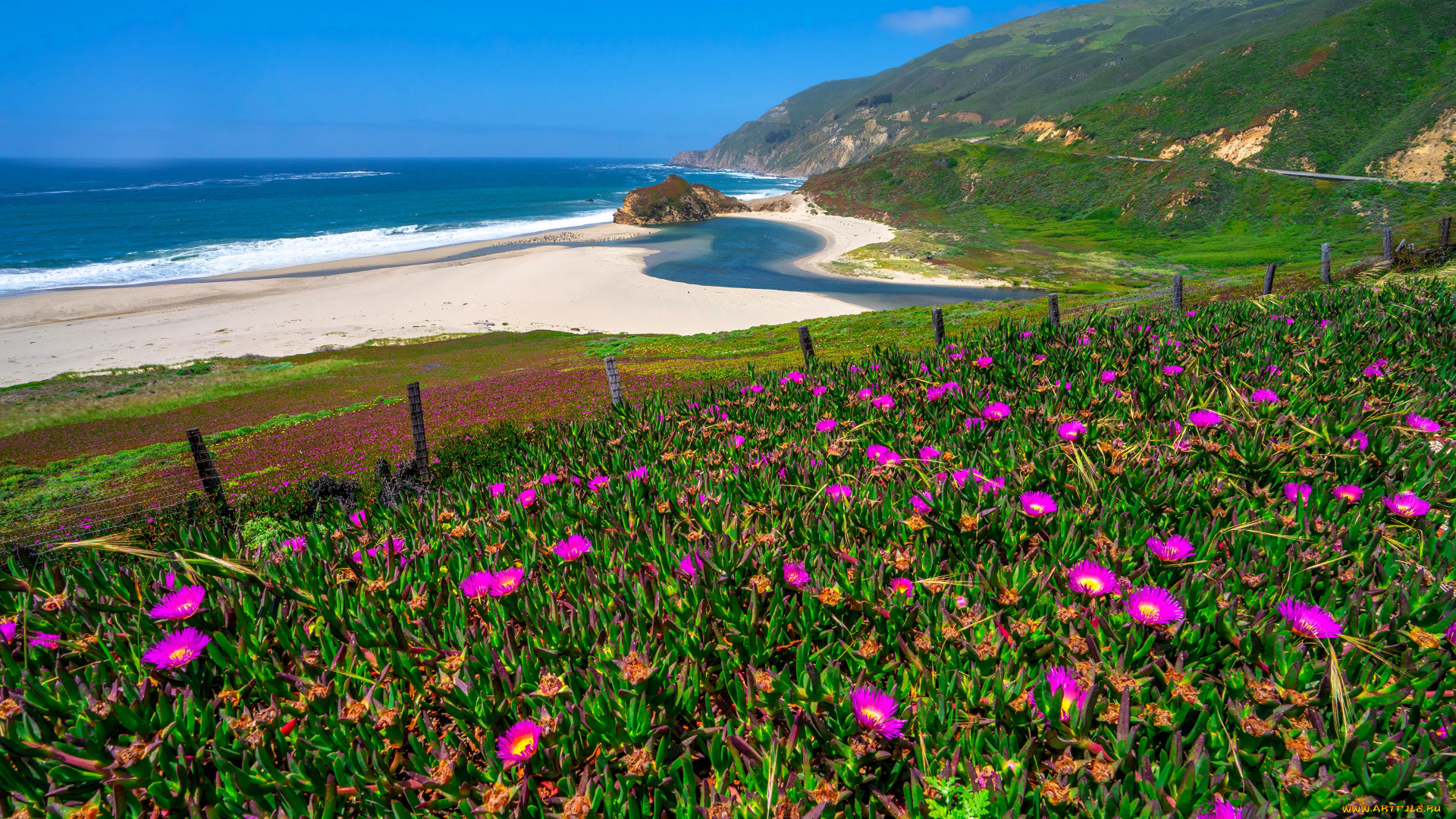 природа, побережье, море, берег, горы, луга, цветы
