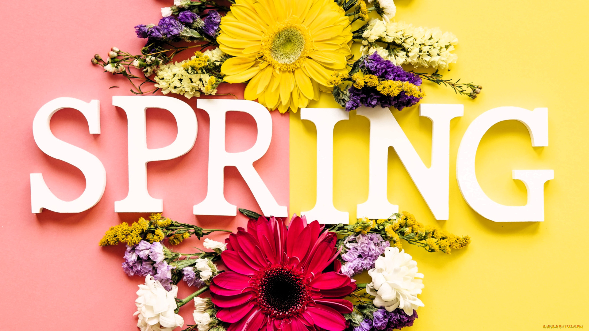 разное, надписи, , логотипы, , знаки, цветы, букеты, надпись, весна