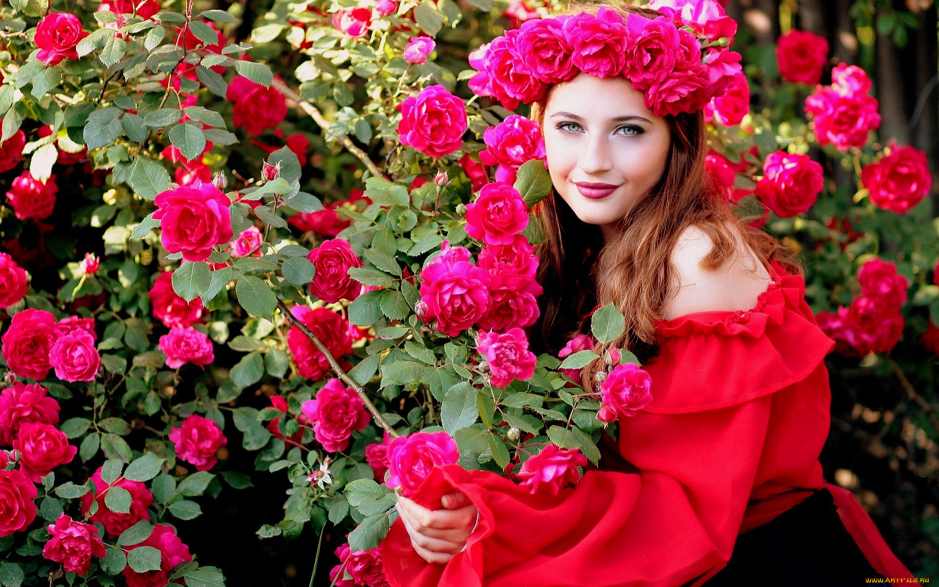 девушки, -, брюнетки, , шатенки, шатенка, венок, розы, блузка, кусты