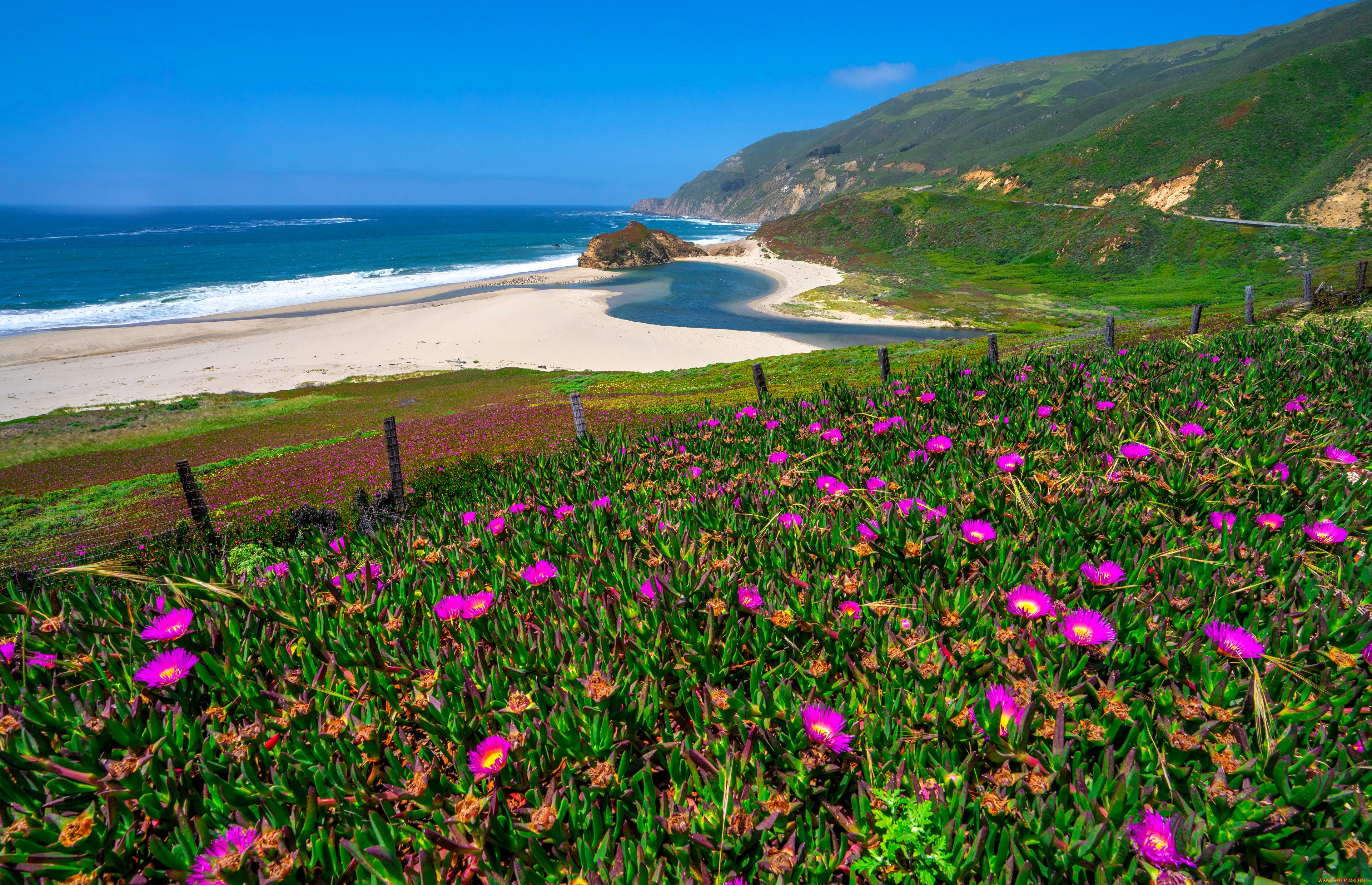 природа, побережье, море, берег, горы, луга, цветы