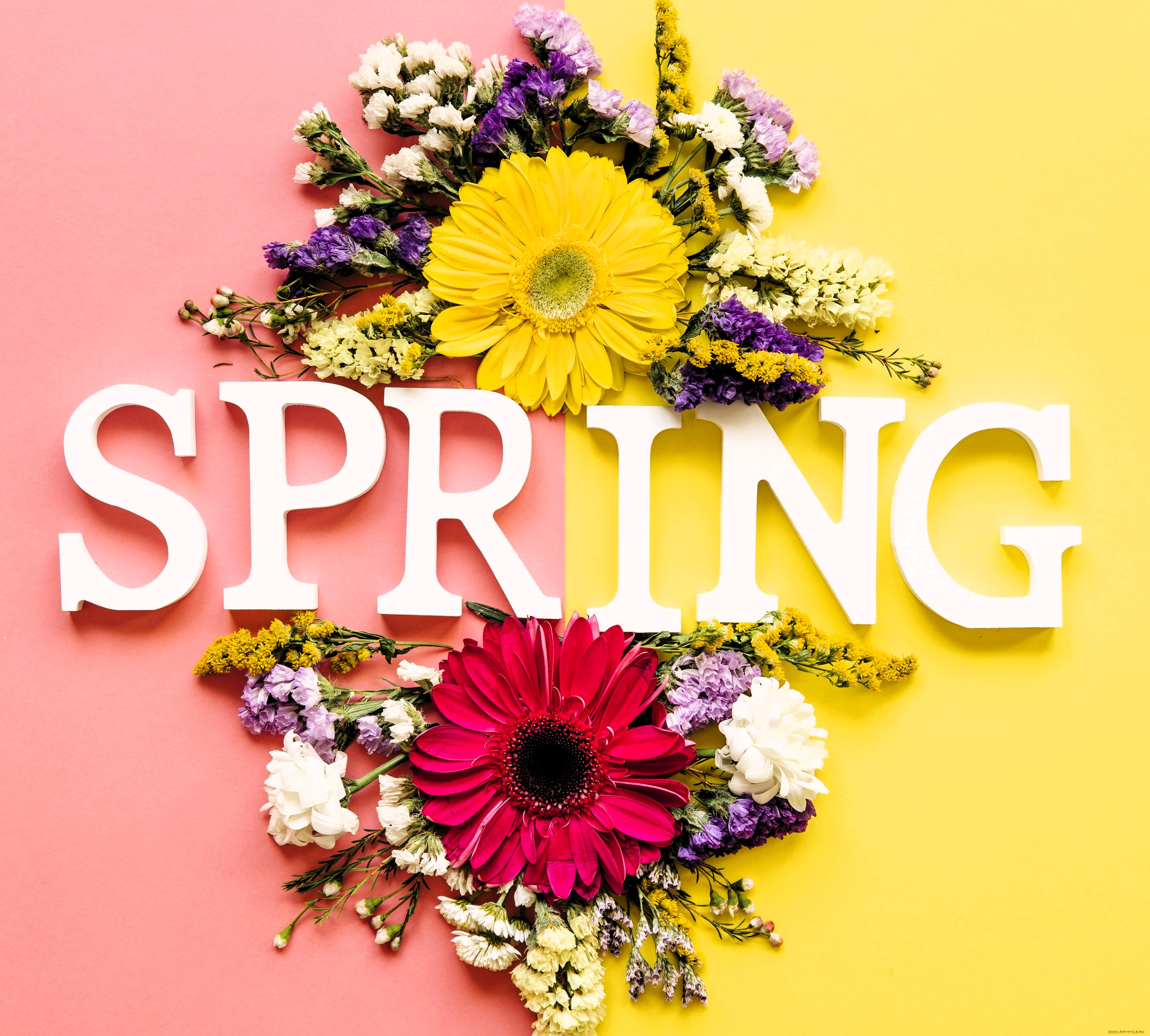 разное, надписи, , логотипы, , знаки, цветы, букеты, надпись, весна