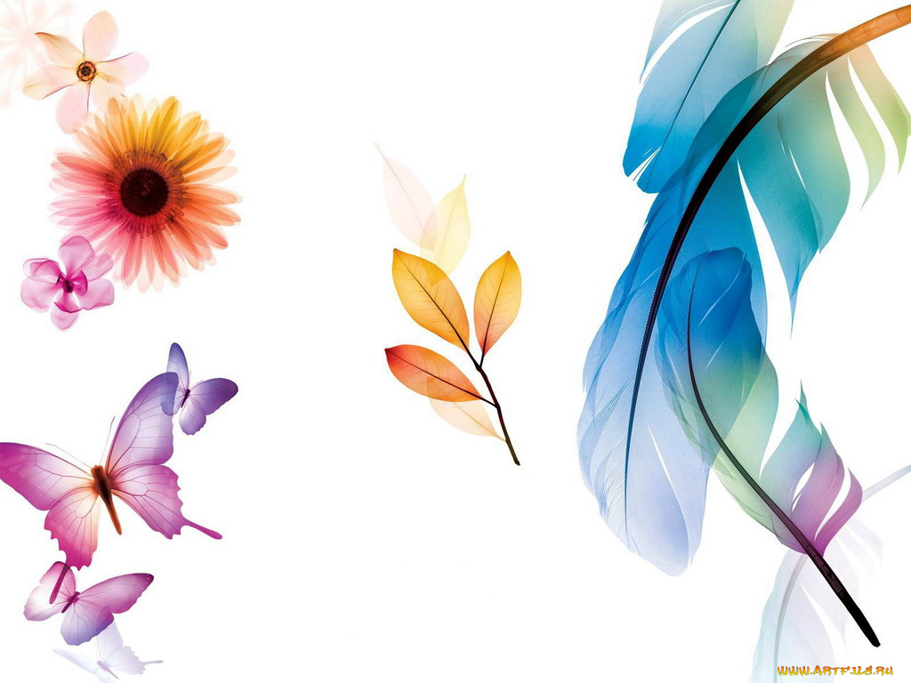 компьютеры, adobe