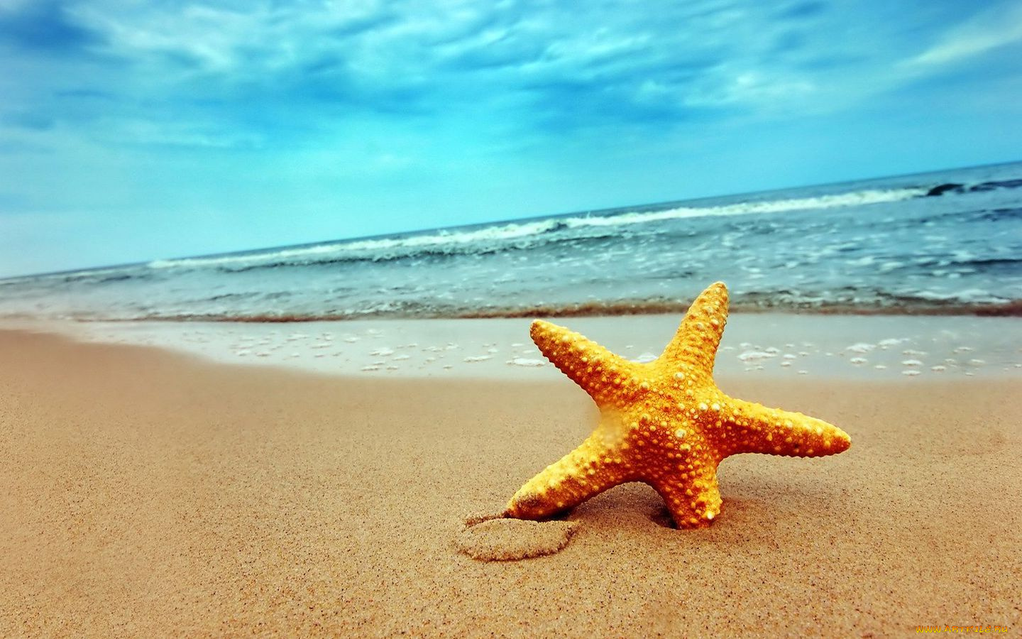 разное, ракушки, кораллы, декоративные, spa, камни