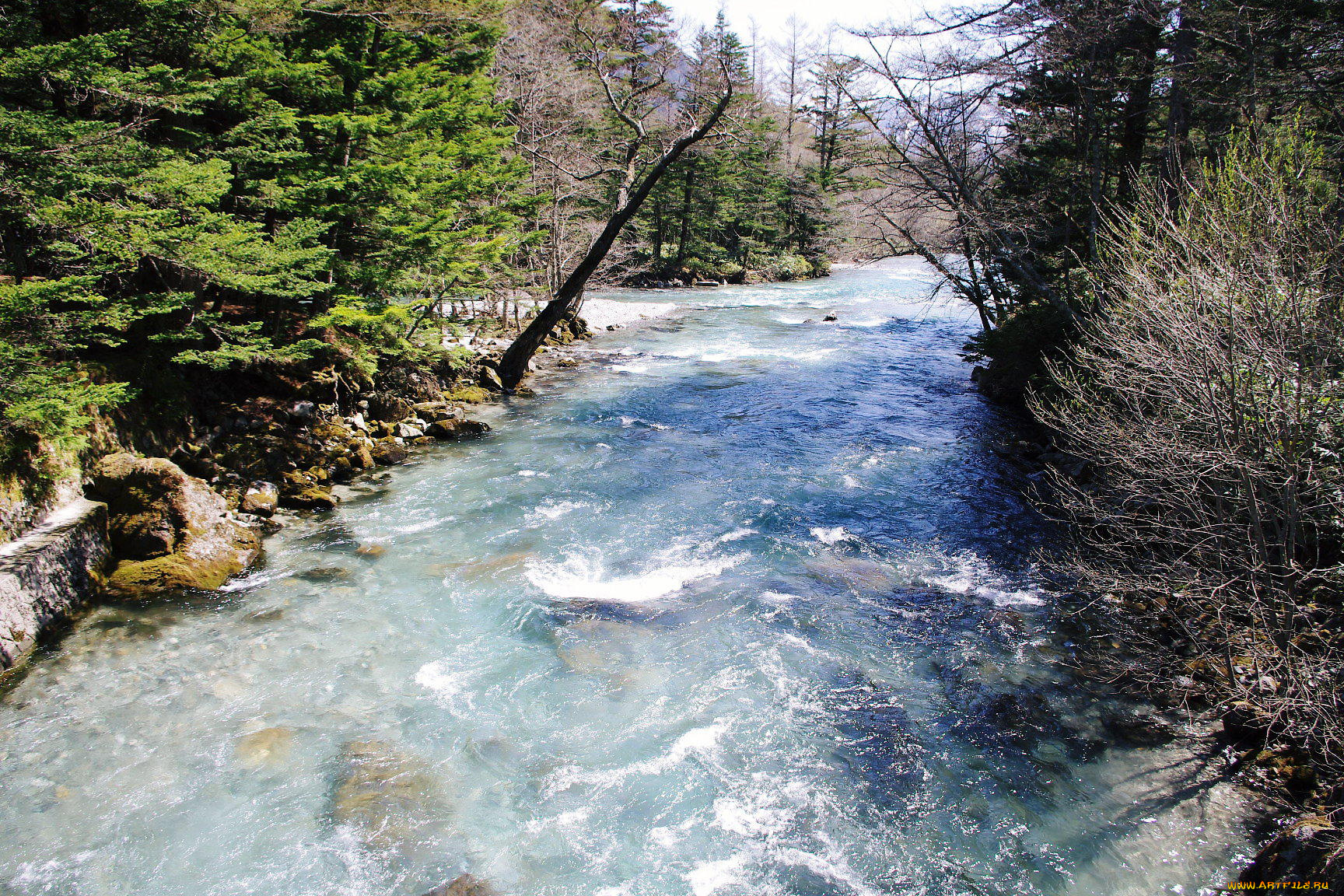 природа, реки, озера