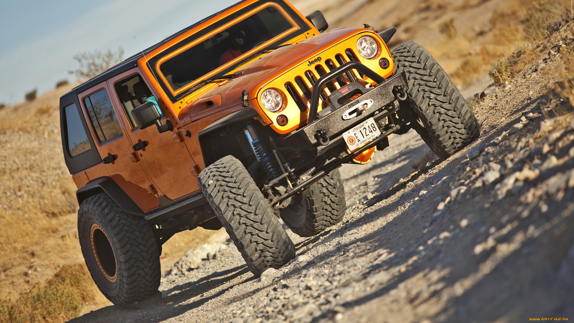 2011, hauk, designs, jeep, rock, raider, автомобили