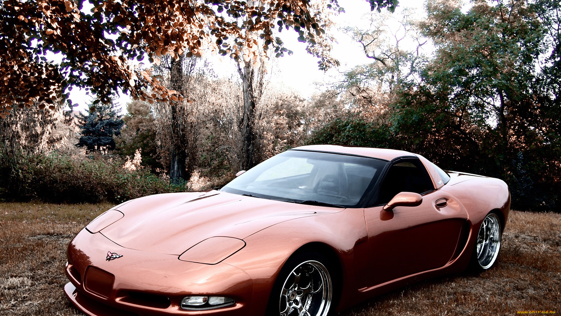 2011, wittera, chevrolet, corvette, c5, wide, body, автомобили