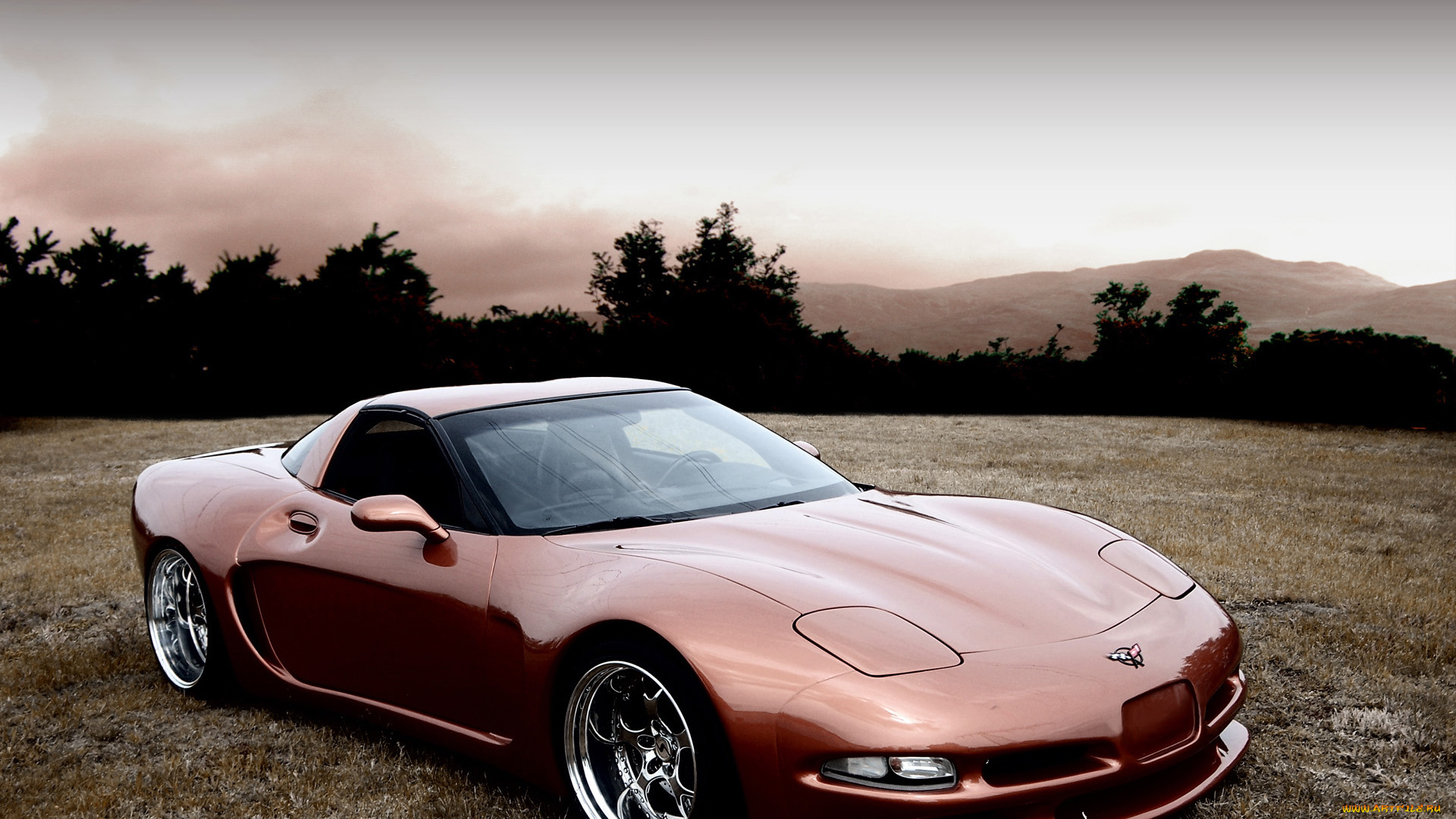 2011, wittera, chevrolet, corvette, c5, wide, body, автомобили