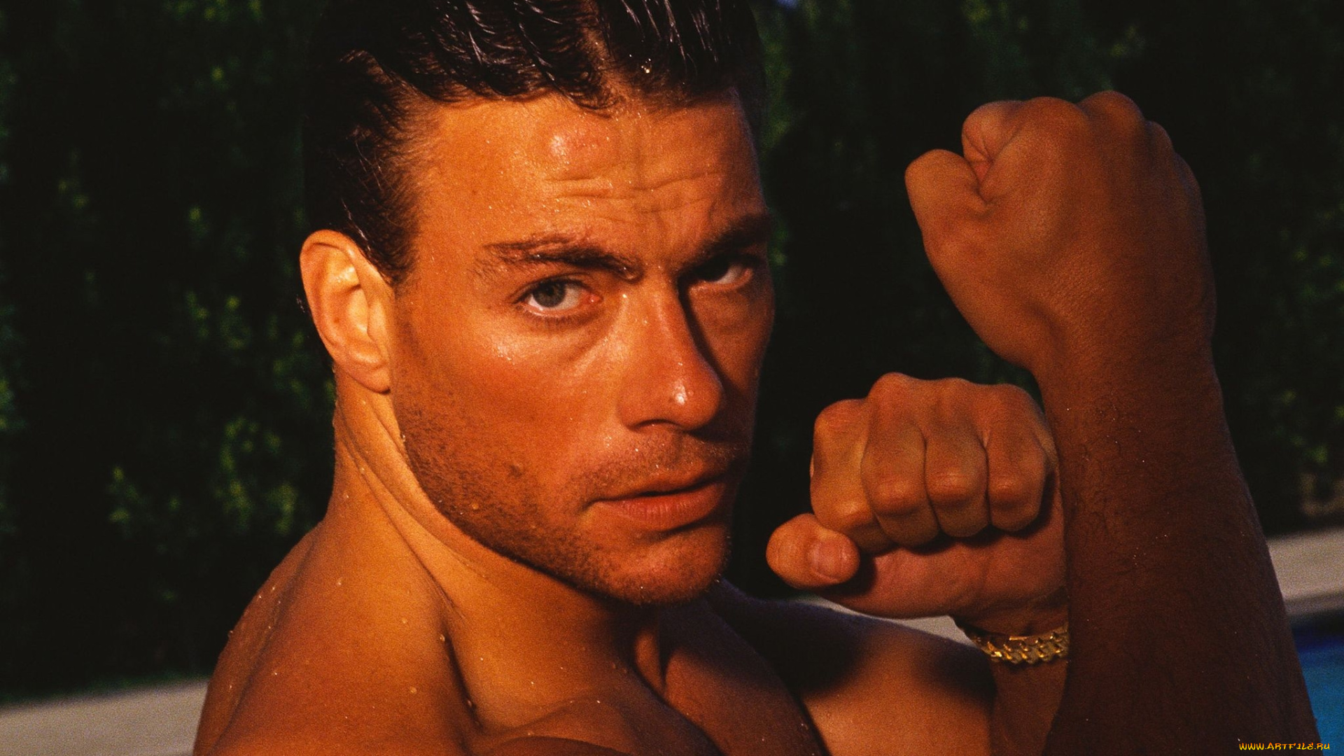 мужчины, jean, claude, van, damme