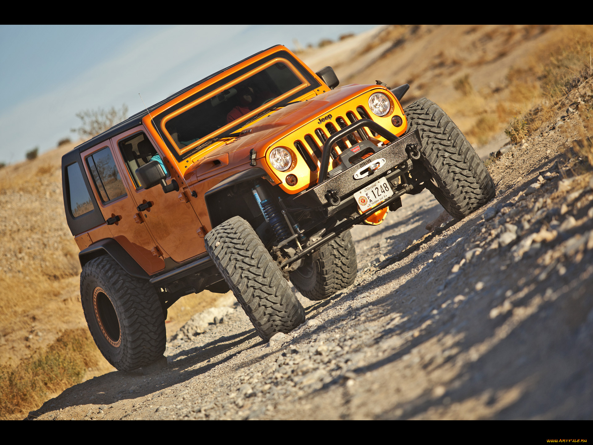 2011, hauk, designs, jeep, rock, raider, автомобили