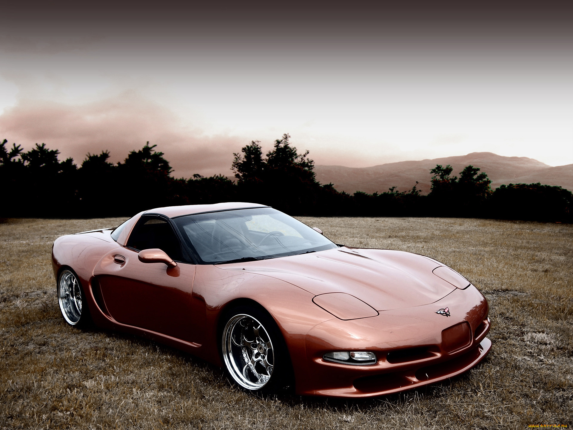 2011, wittera, chevrolet, corvette, c5, wide, body, автомобили