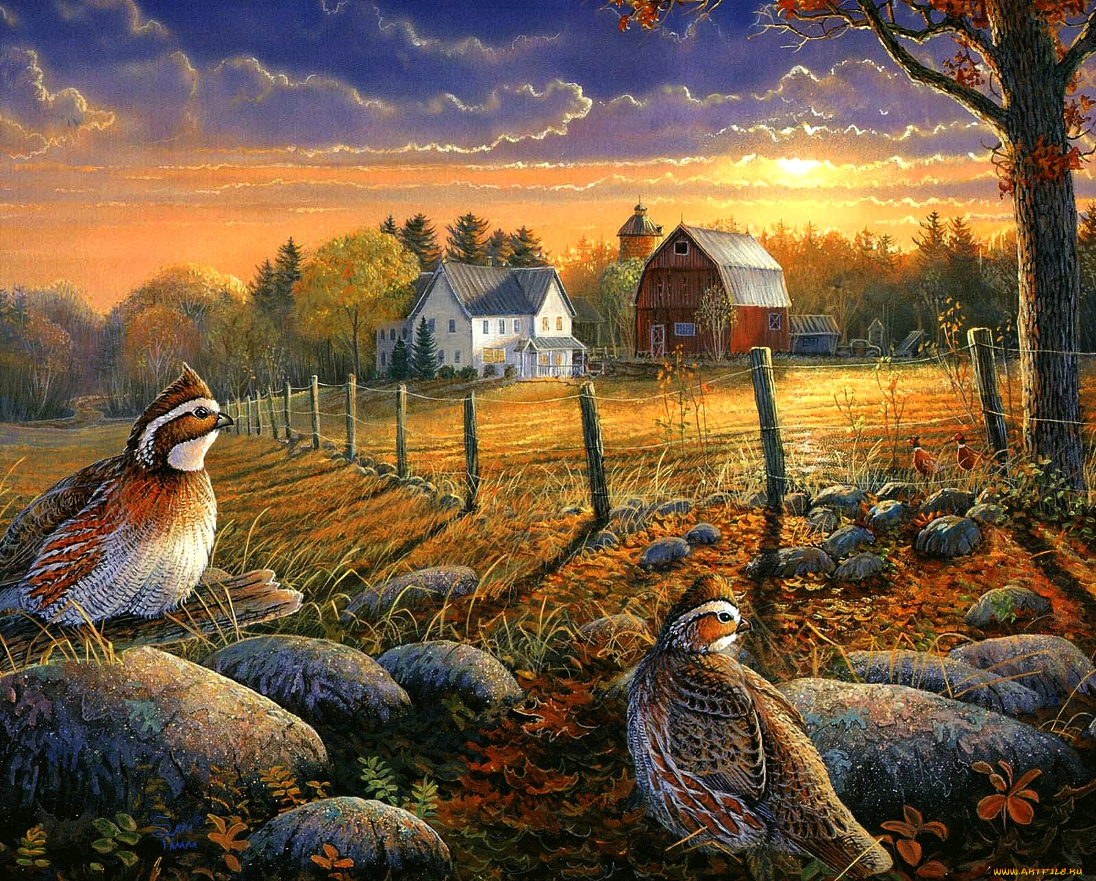 sam, timm, рисованные, sunset