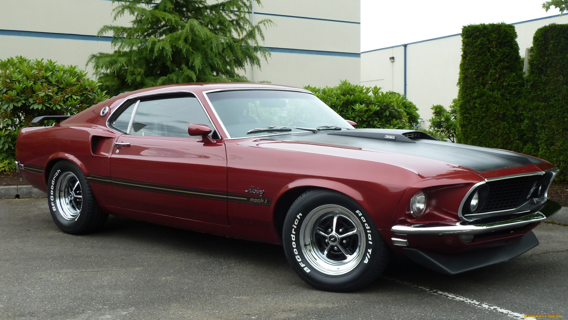 автомобили, mustang