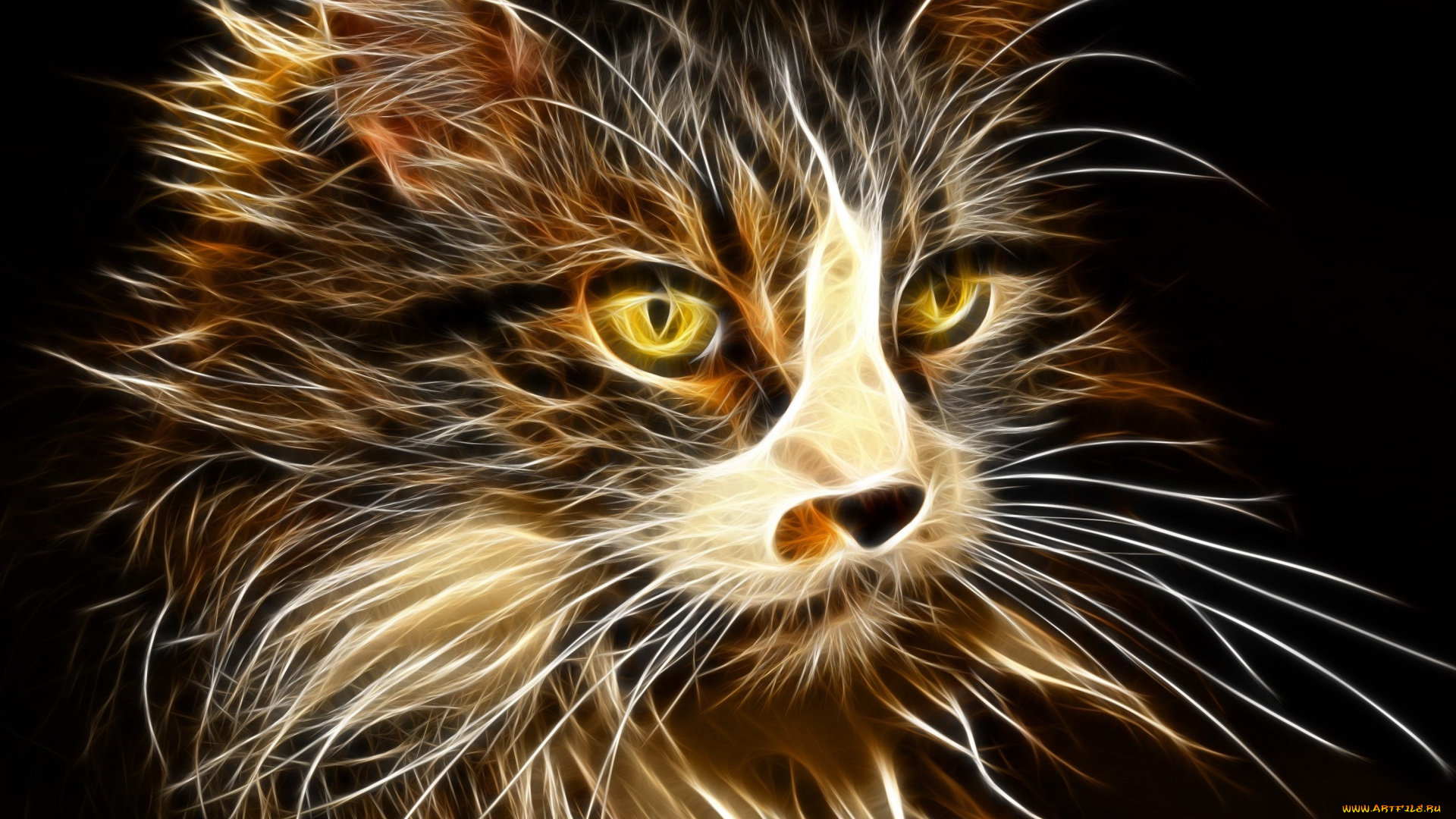 3д, графика, animals, , животные, взгляд, кот, фон