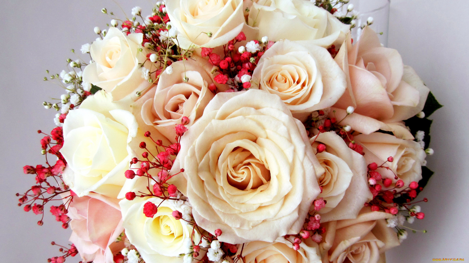 цветы, букеты, , композиции, розы, букет, кремовые