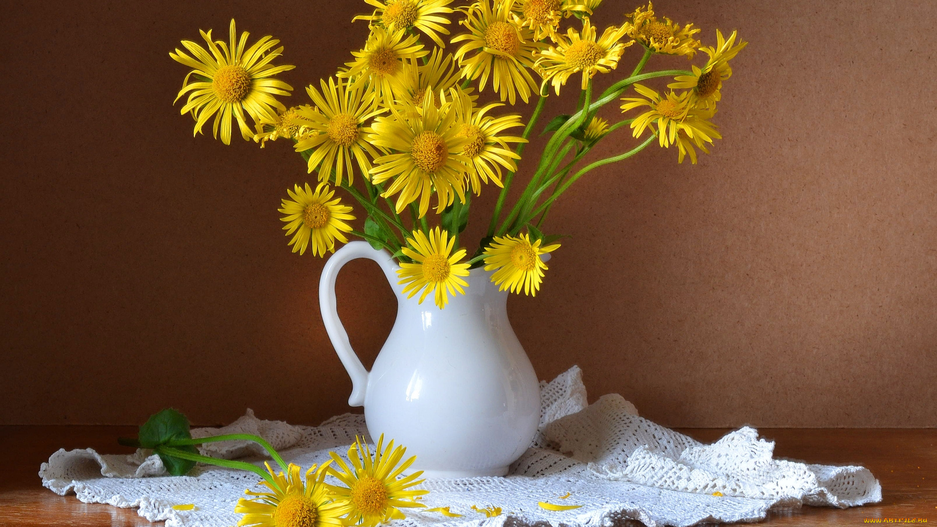 цветы, девясил, букет