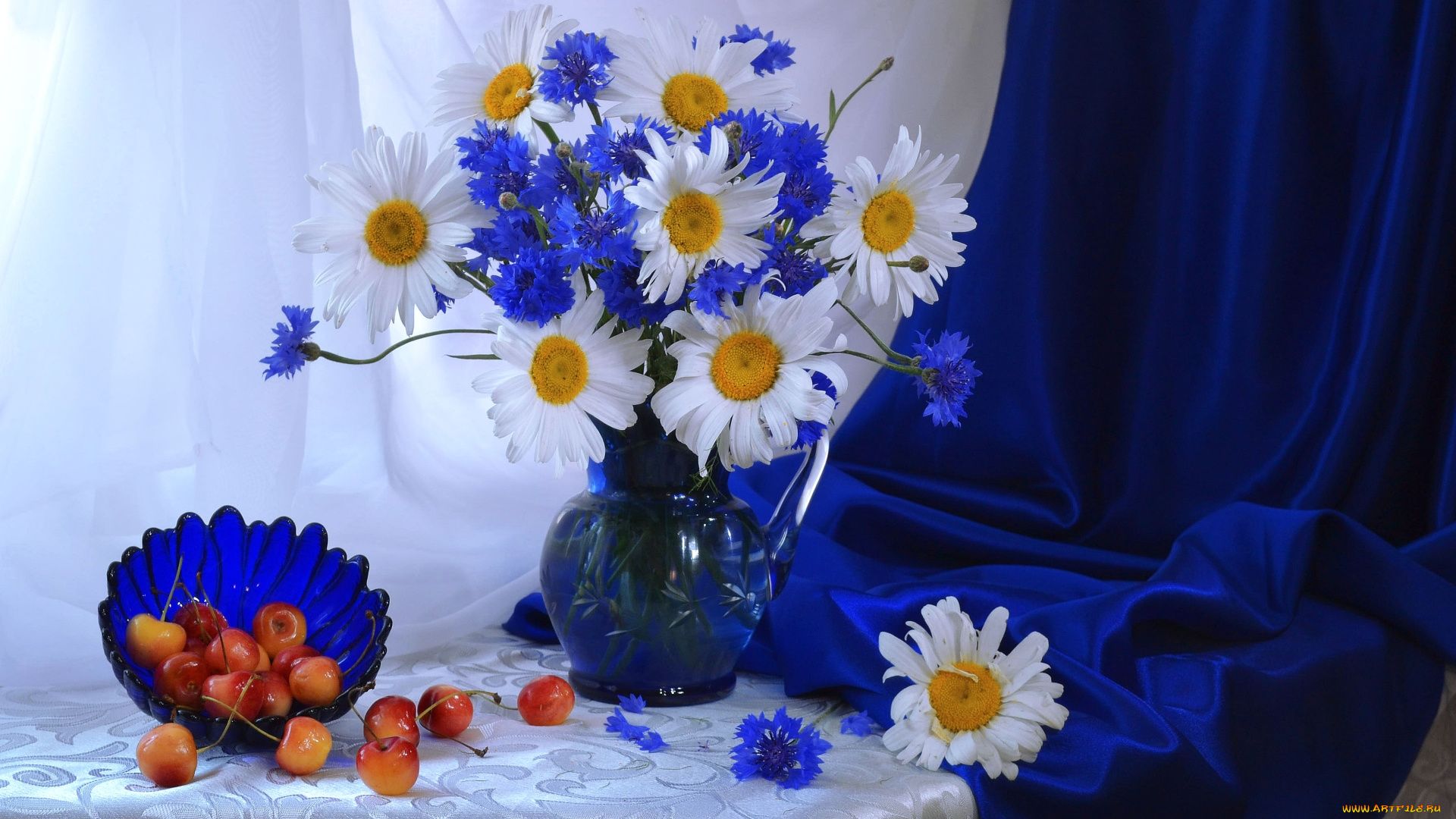 цветы, луговые, , полевые, , цветы, ромашки, черешня, васильки