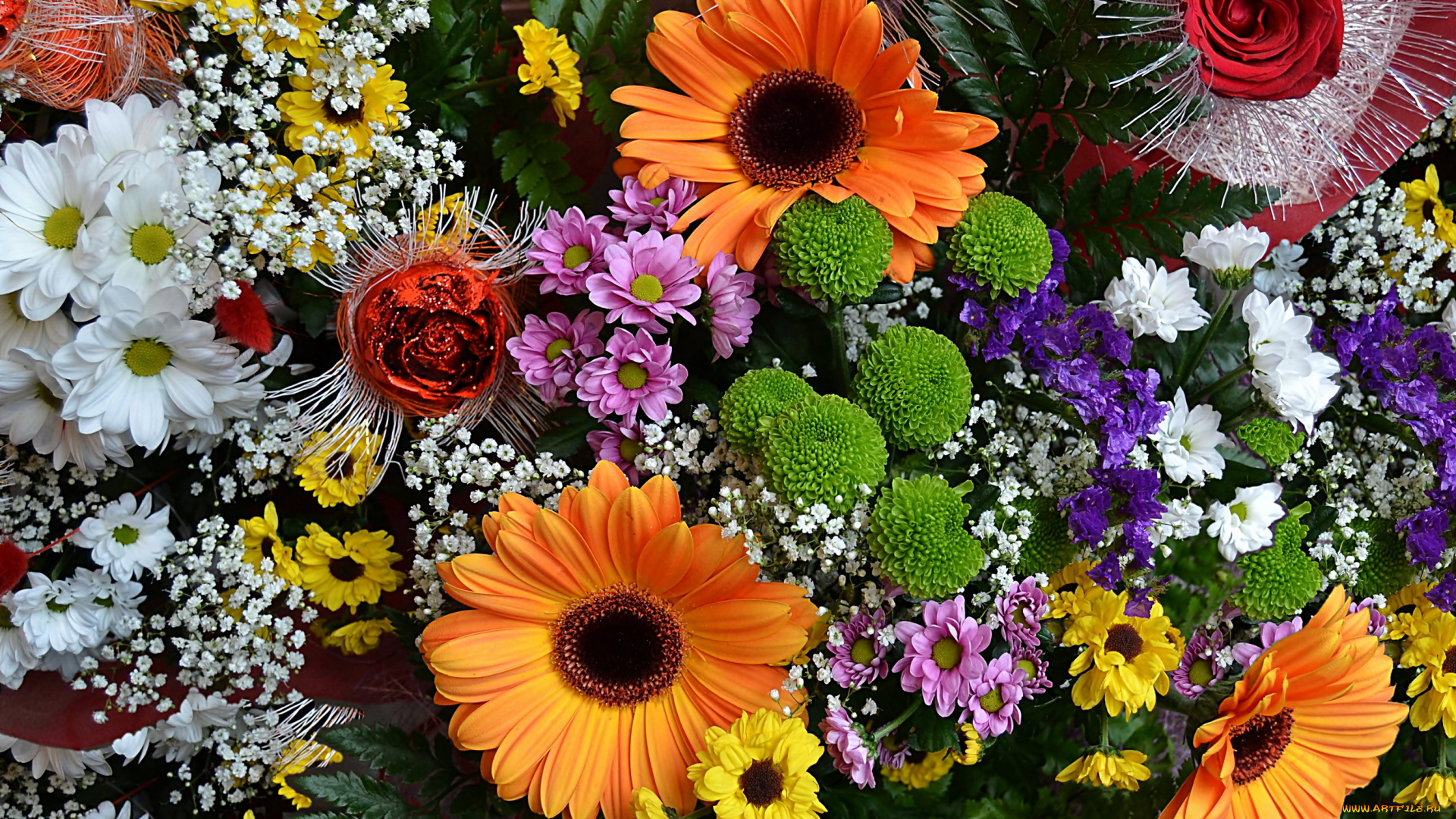 цветы, разные, вместе, розы, хризантемы, герберы
