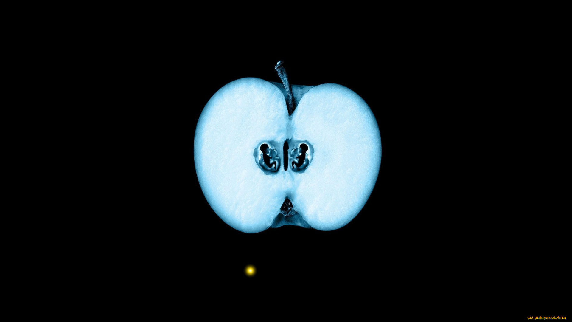 разное, -, другое, яблоко, фон