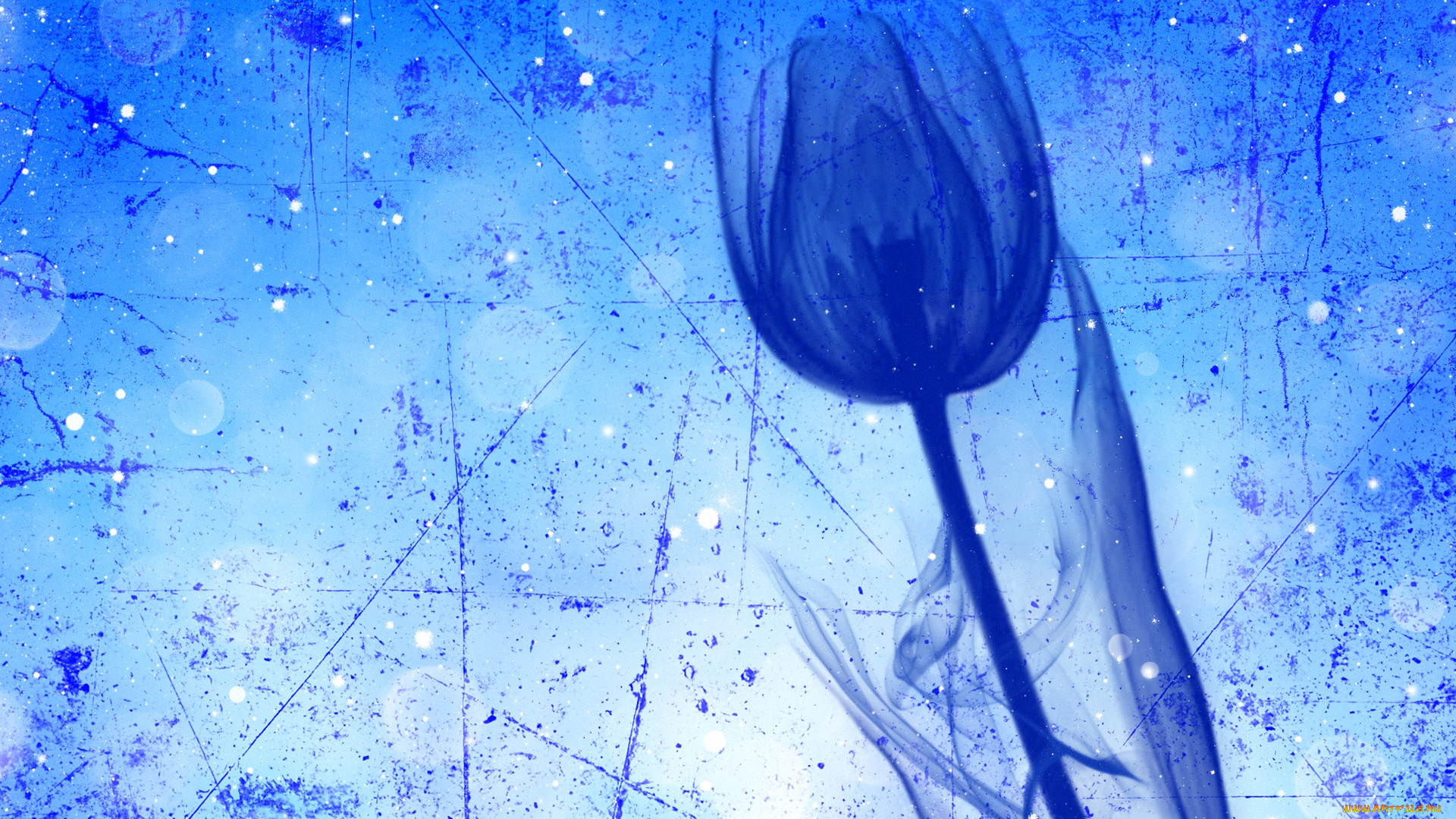 разное, текстуры, стебель, тюльпан, штрих, цветок