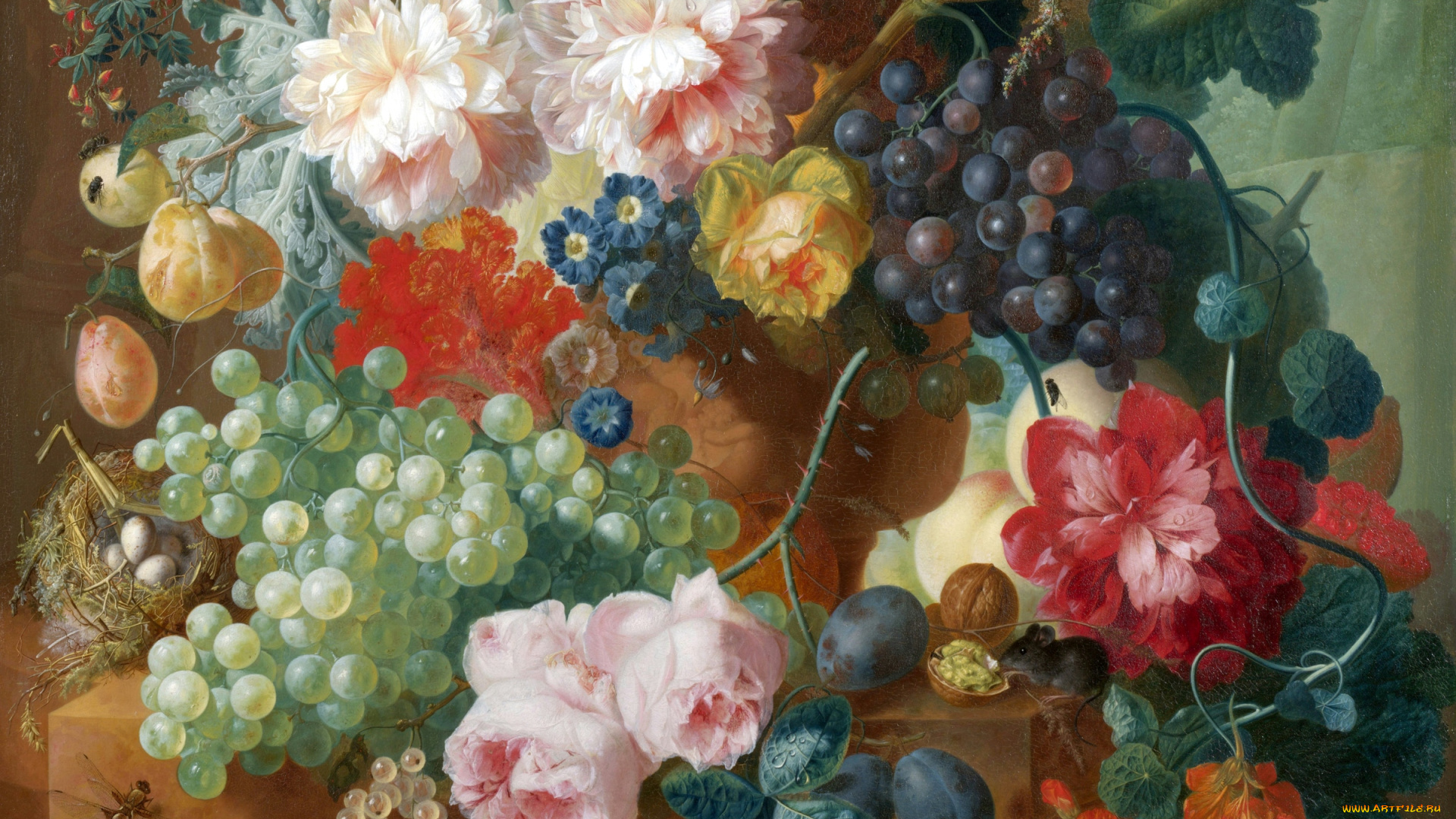 рисованные, живопись, букет