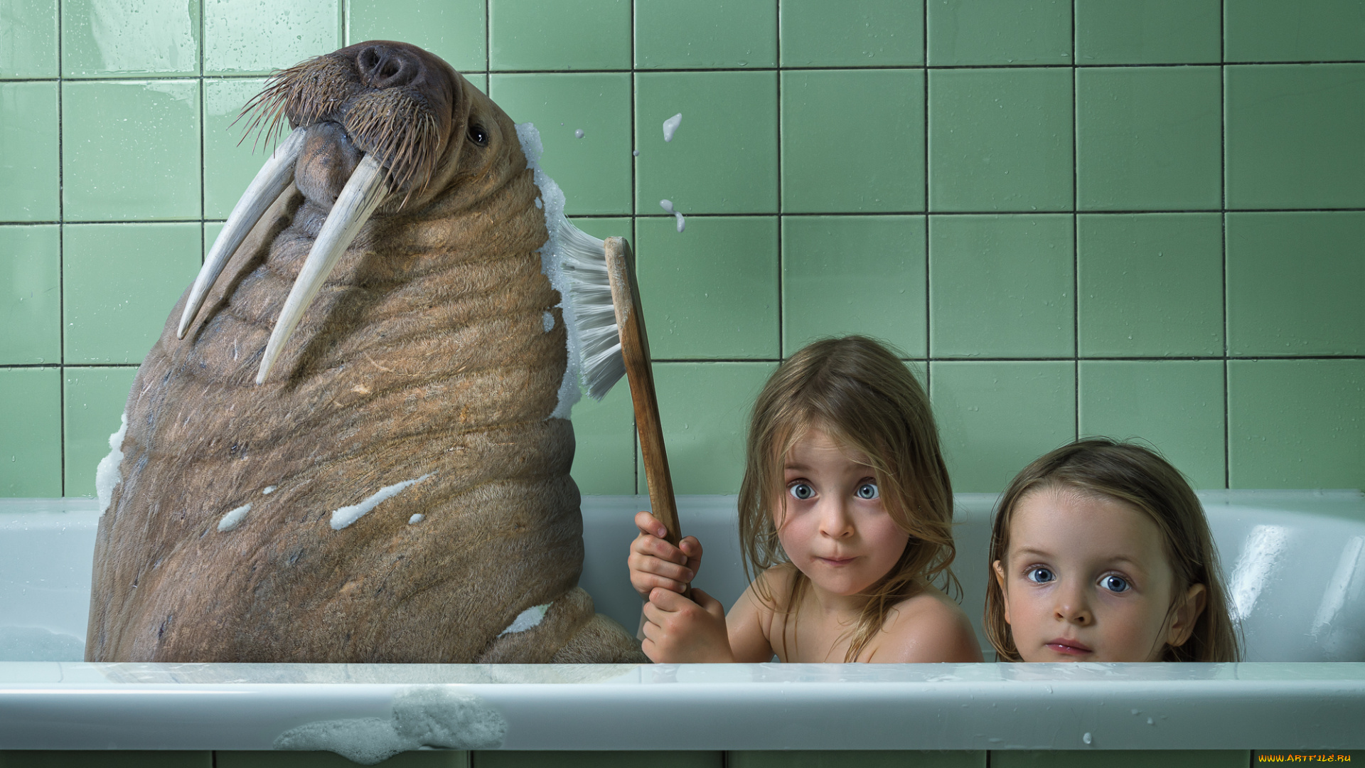 юмор, и, приколы, ванна, морж, девочки, дети, купание