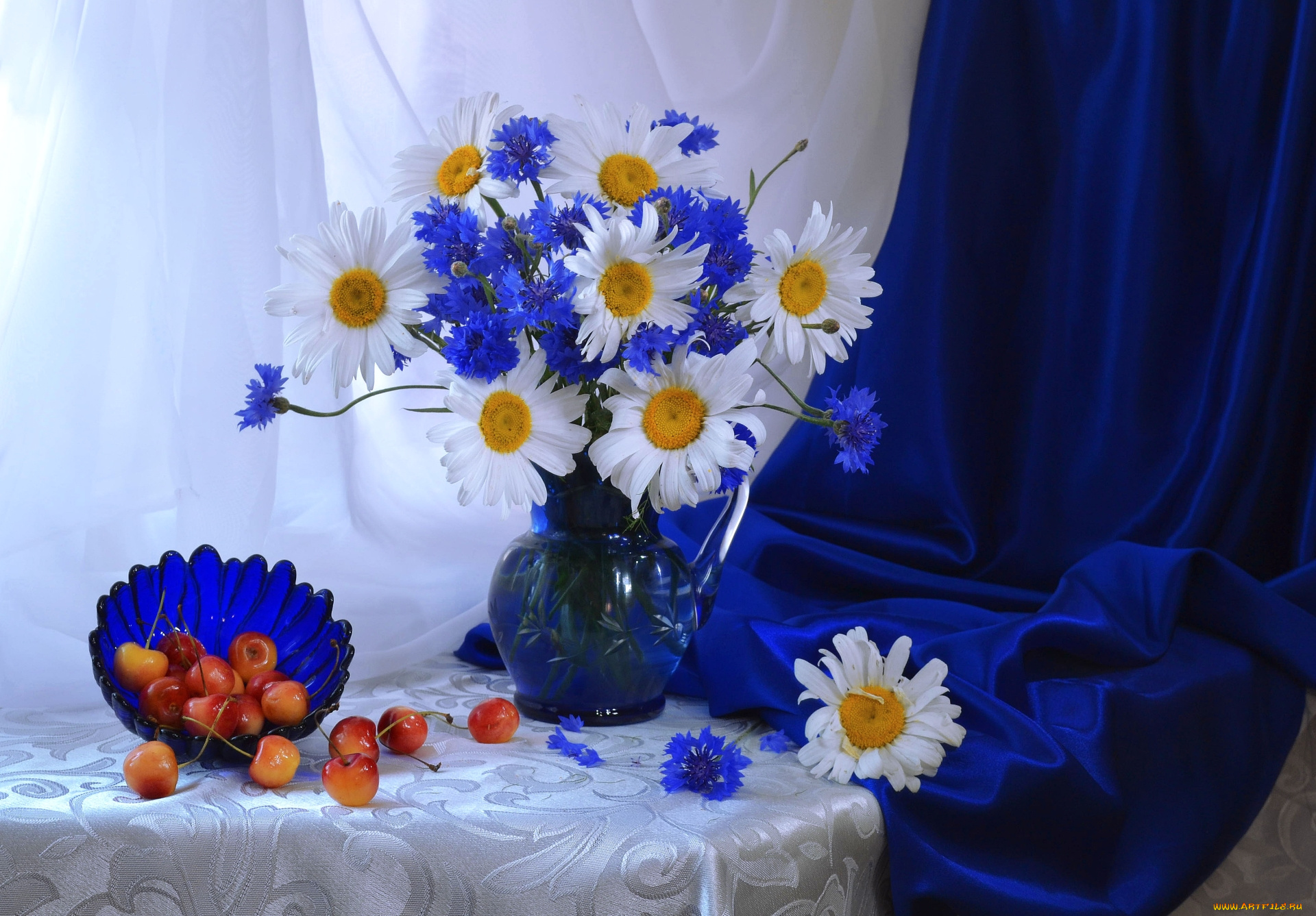 цветы, луговые, , полевые, , цветы, ромашки, черешня, васильки