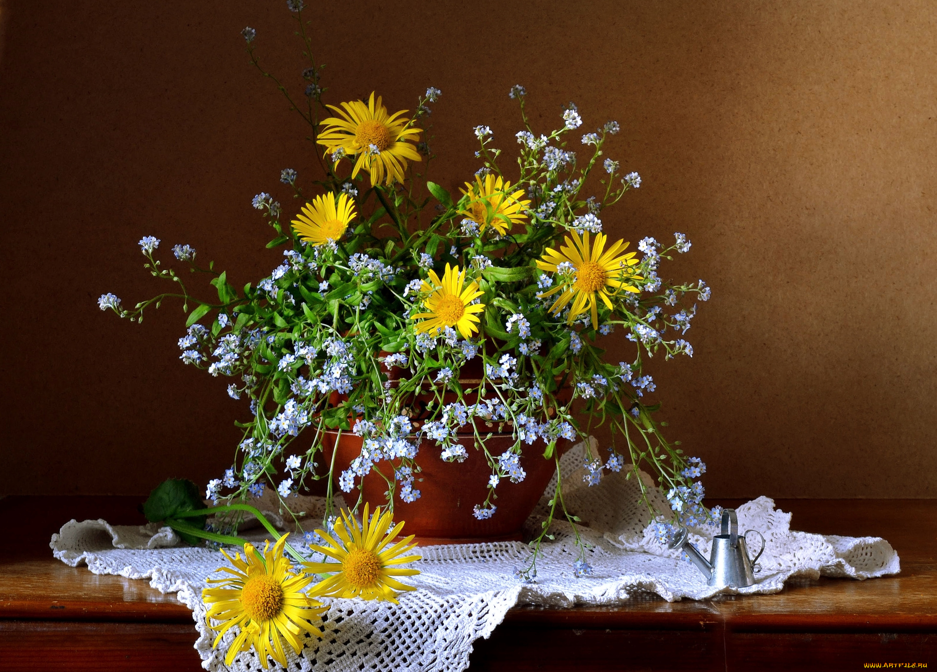 цветы, луговые, , полевые, , цветы, девясил, незабудки