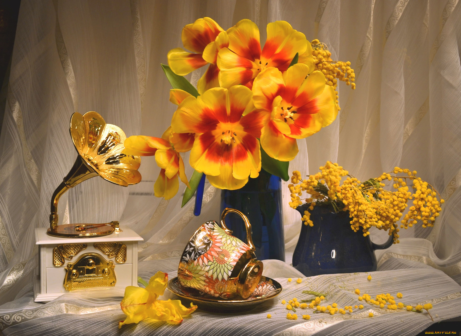 цветы, разные, вместе, тюльпаны, мимоза