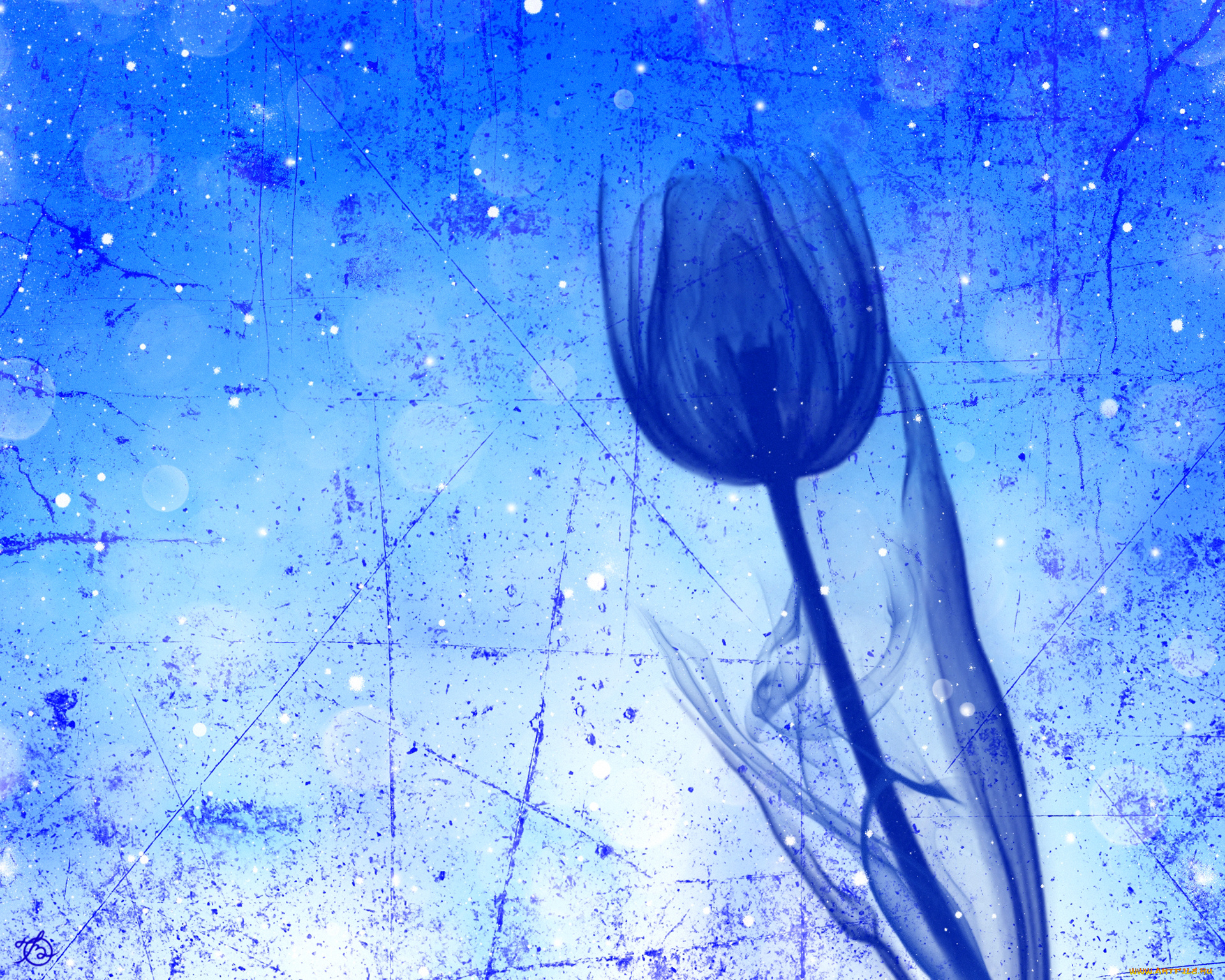 разное, текстуры, стебель, тюльпан, штрих, цветок