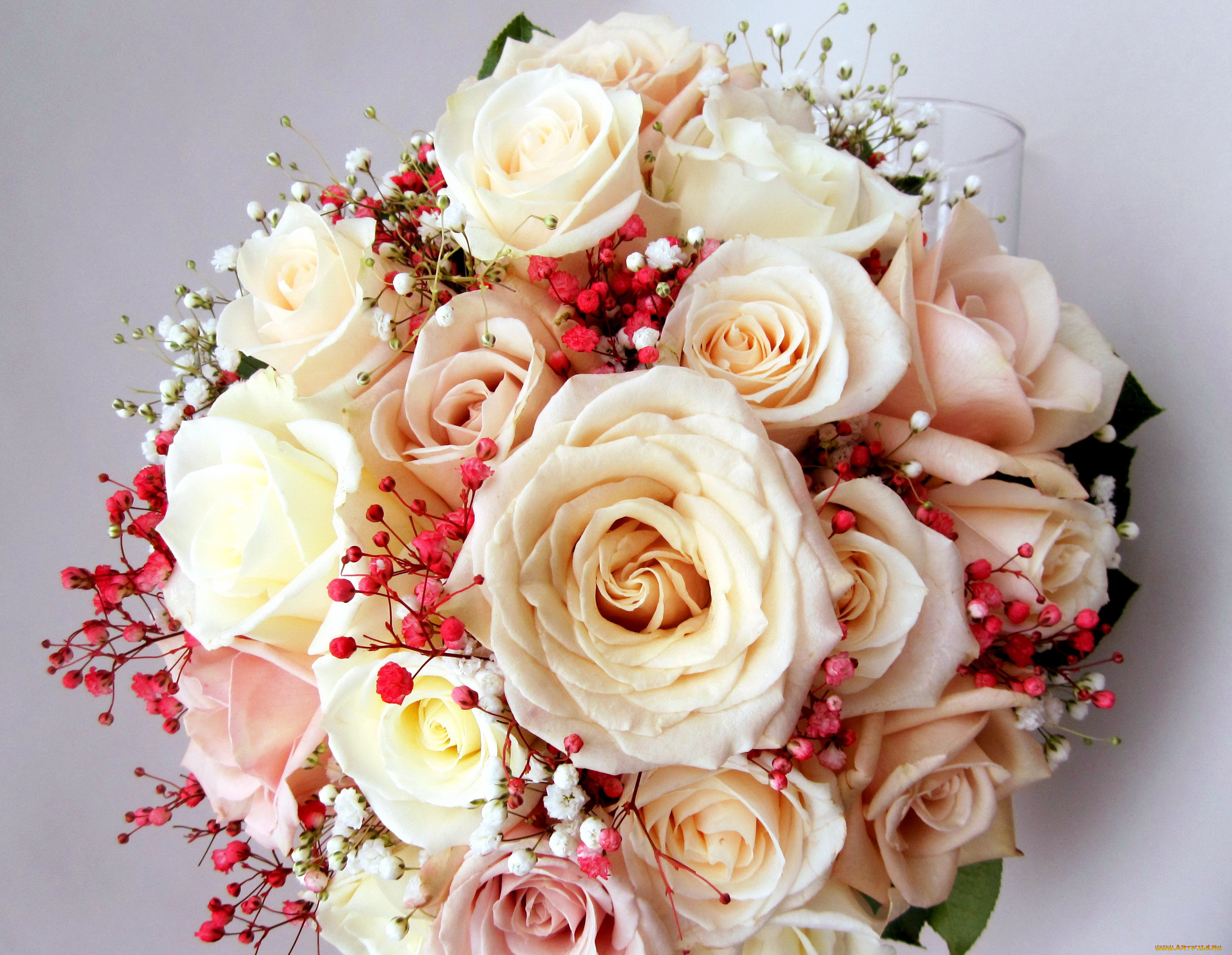 цветы, букеты, , композиции, розы, букет, кремовые