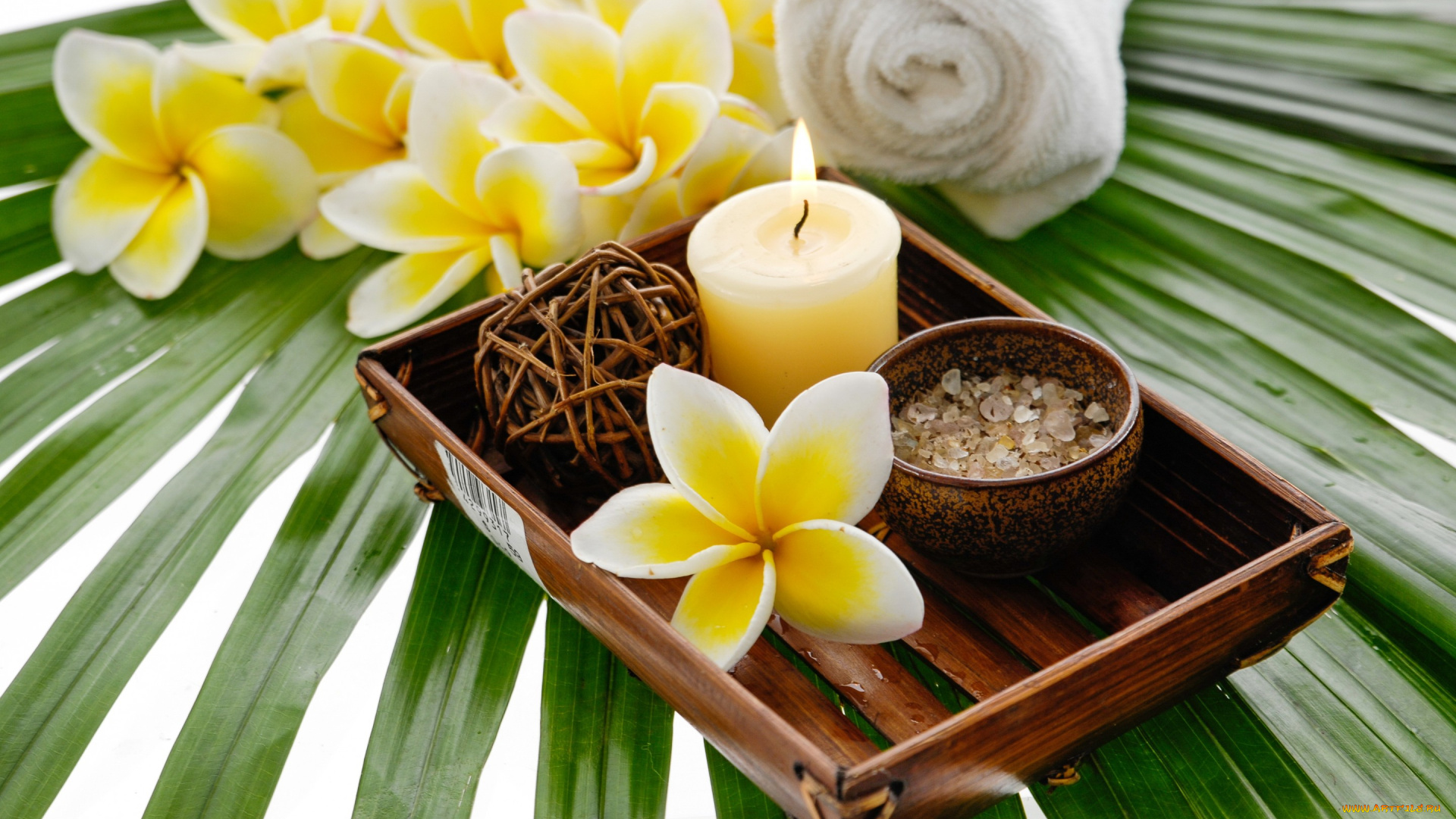 разное, свечи, спа, соль, цветы, spa, лист, flowers, candles, salt, still, life, wellness, relax