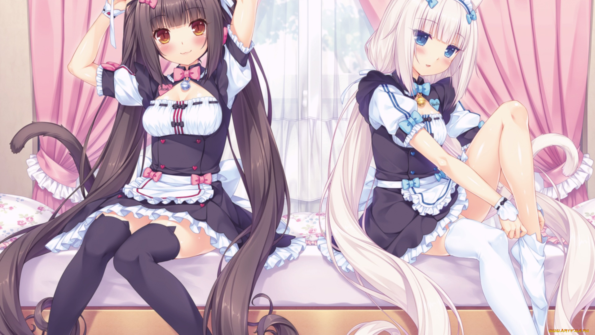 аниме, nekopara, девочки