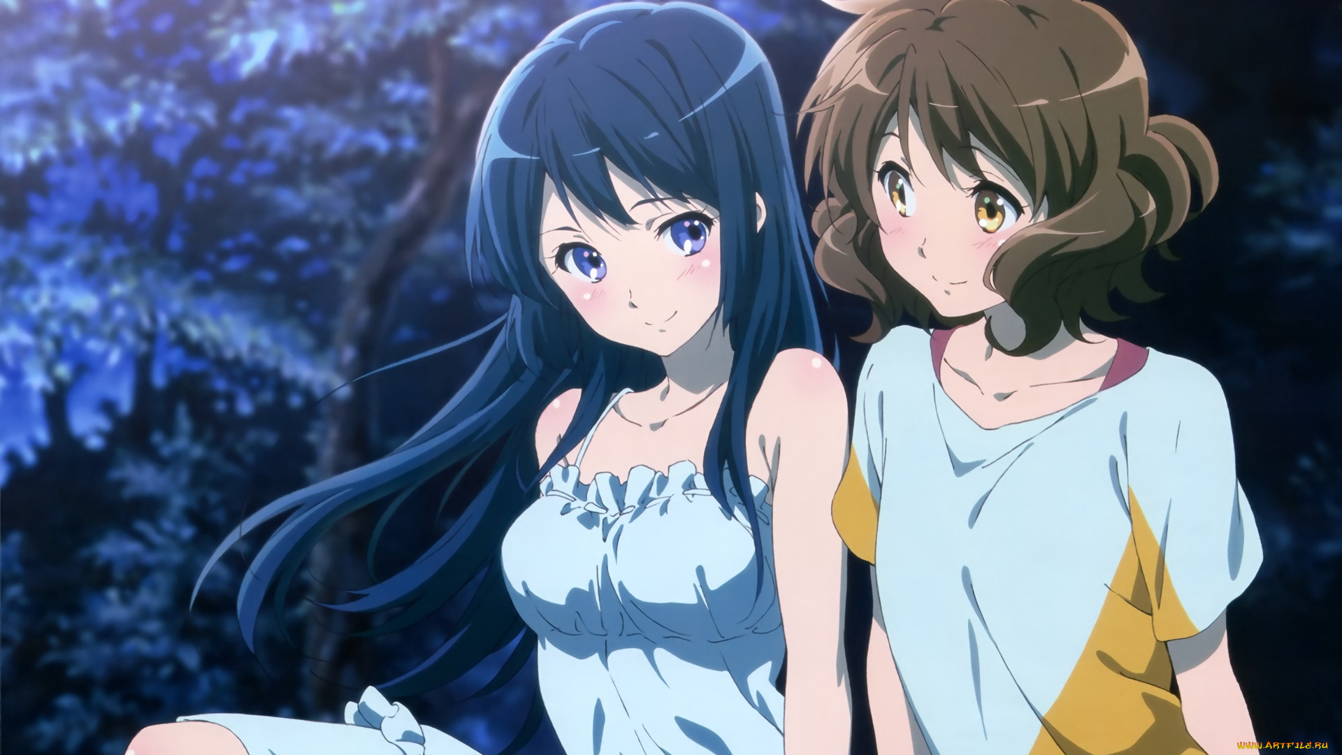 аниме, sound, horizon, фон, взгляд, девушки