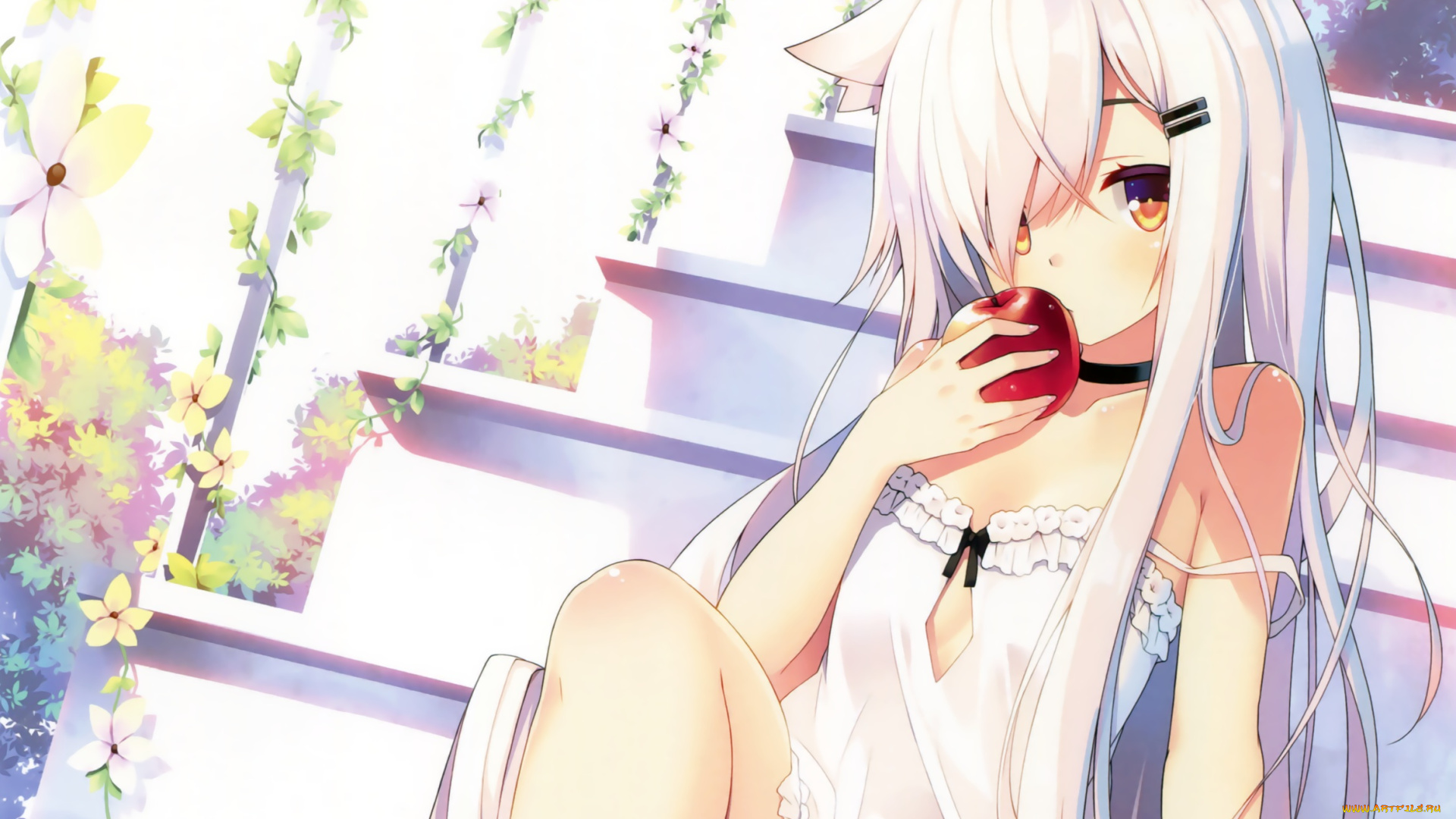 аниме, животные, , существа, неко