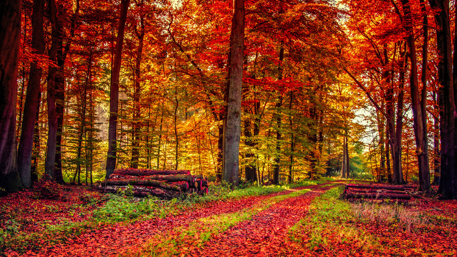 природа, дороги, тракт