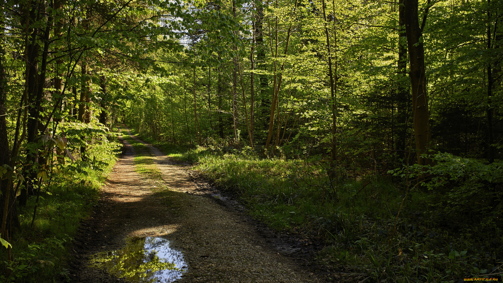 природа, дороги, тракт