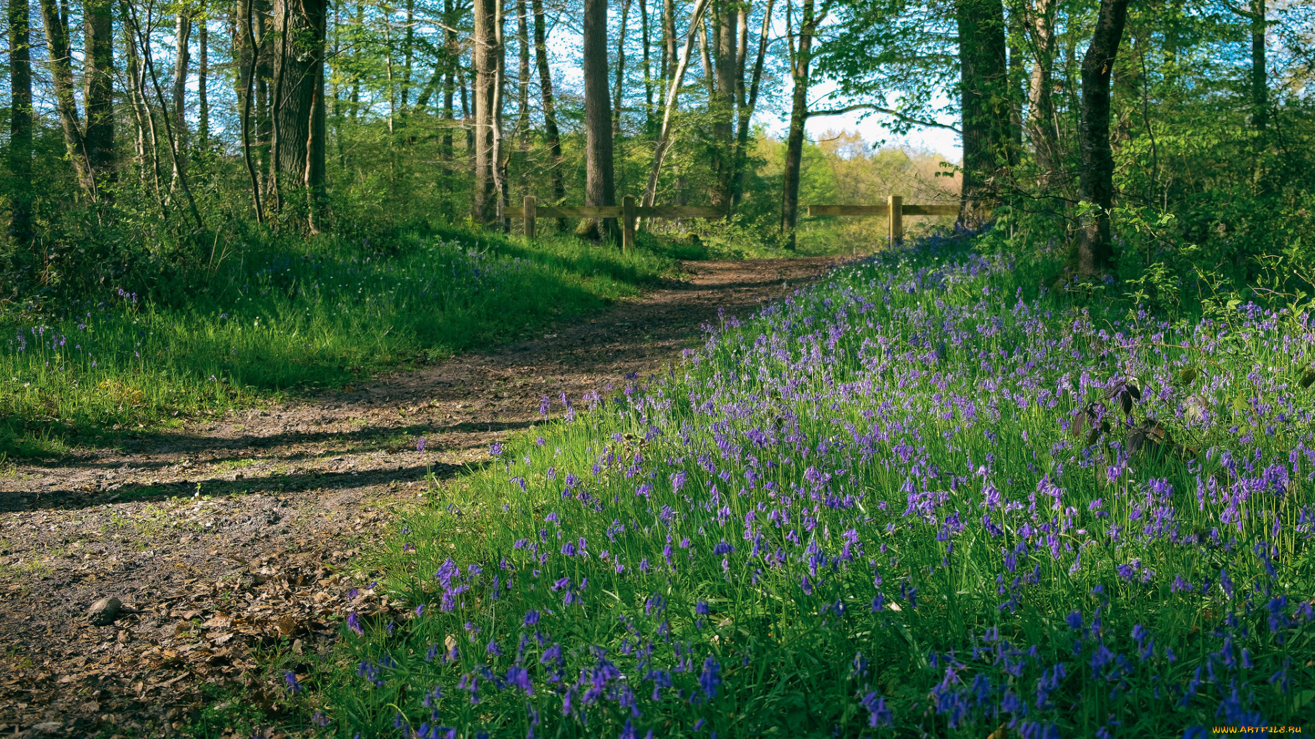 природа, дороги, тракт